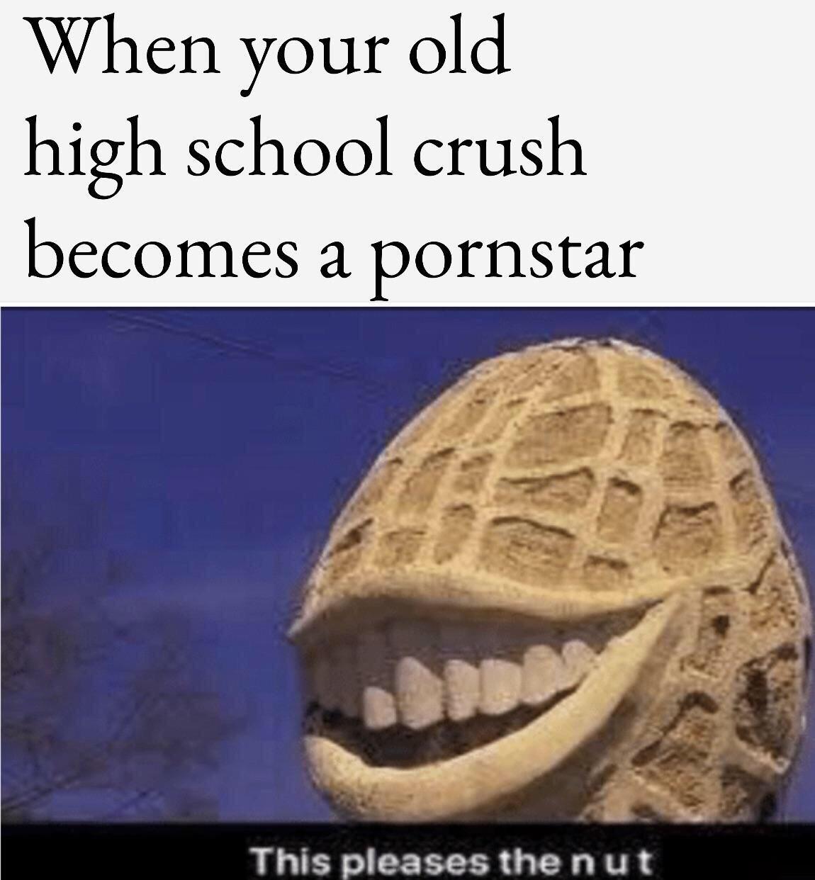 THiS PleASEs THe NUt meme