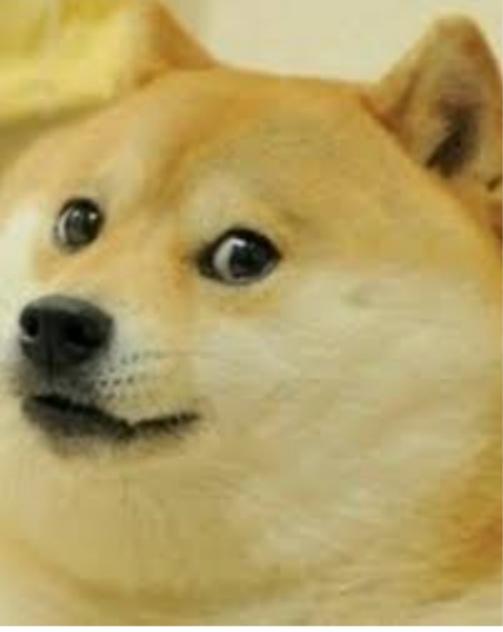 Doge dog die at 16 age.Press F to pay your respect memes