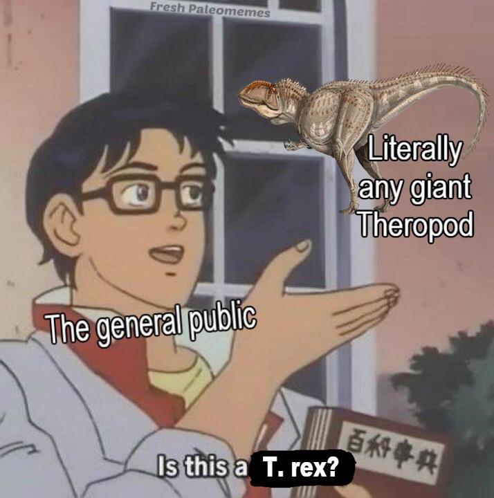 We‘ve all been there r/DinosaurMemes