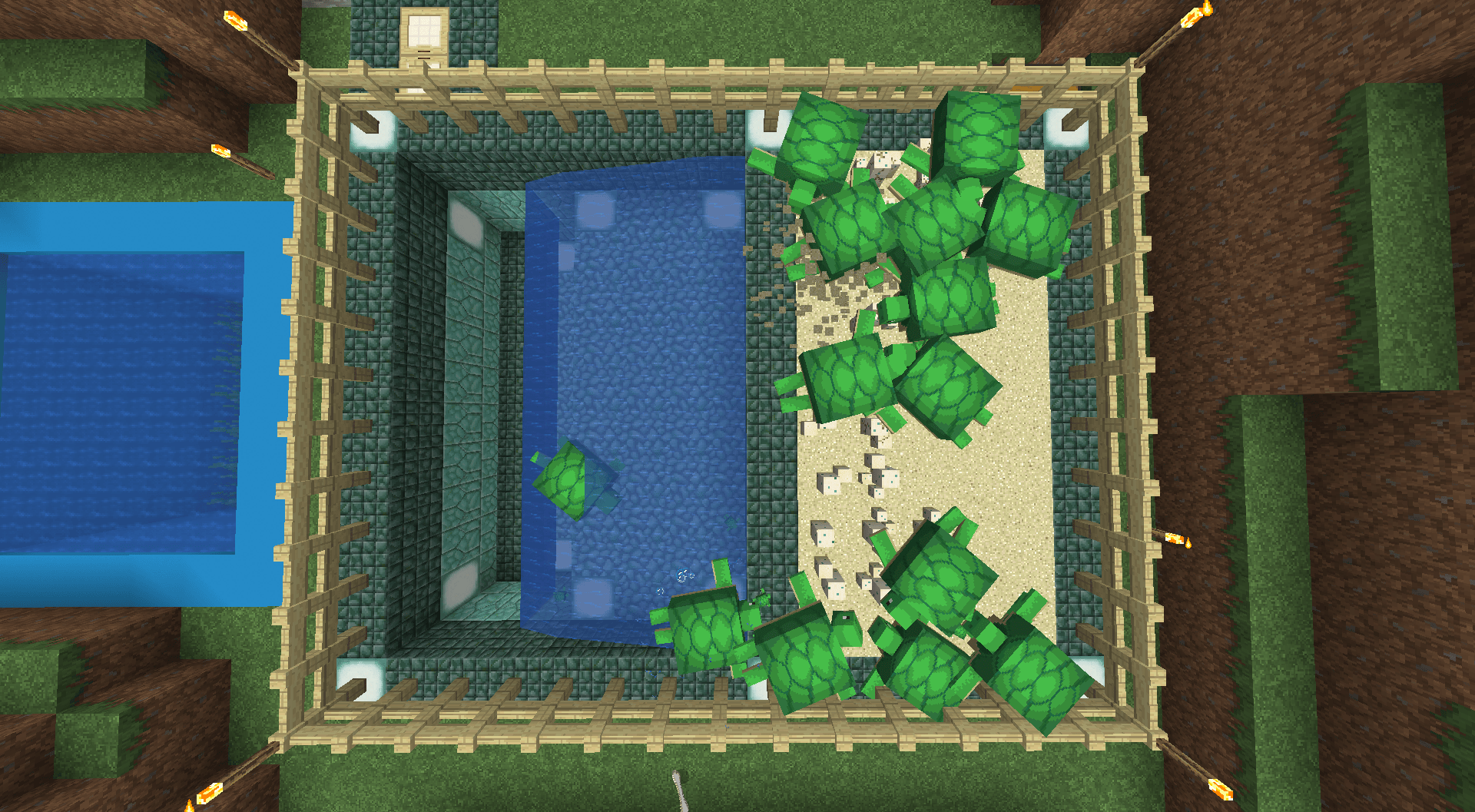 Help with turtle farm, most of the baby turtles stay on
