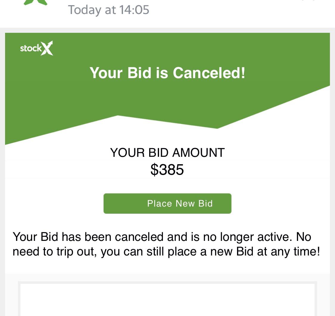 Can someone explain why my bid is canceled while the current highest