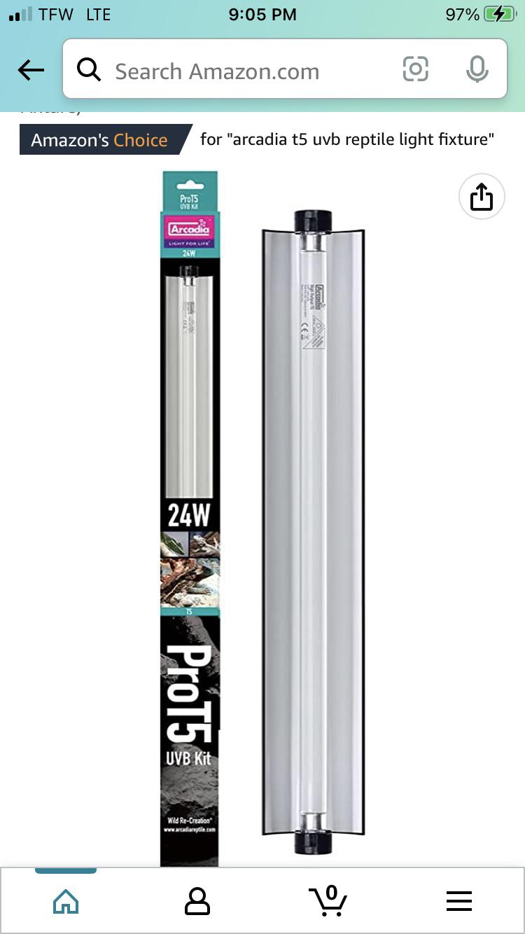 Is this proper lighting for a Russian tortoise, or could someone point