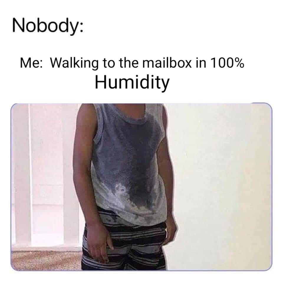 It's not the heat, it's the Humidity. r/memes
