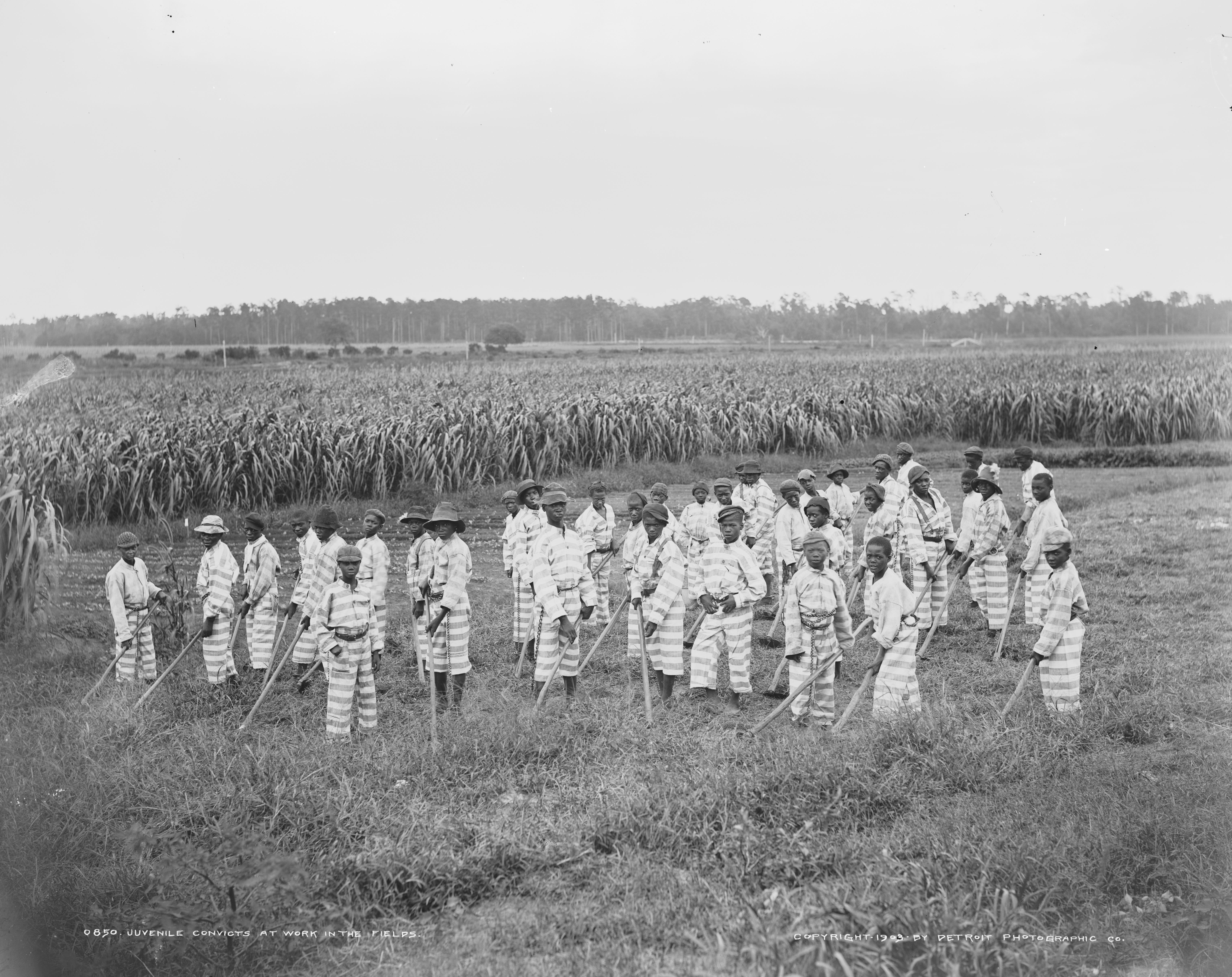 The Best of the History Chain gang of juvenile convicts in