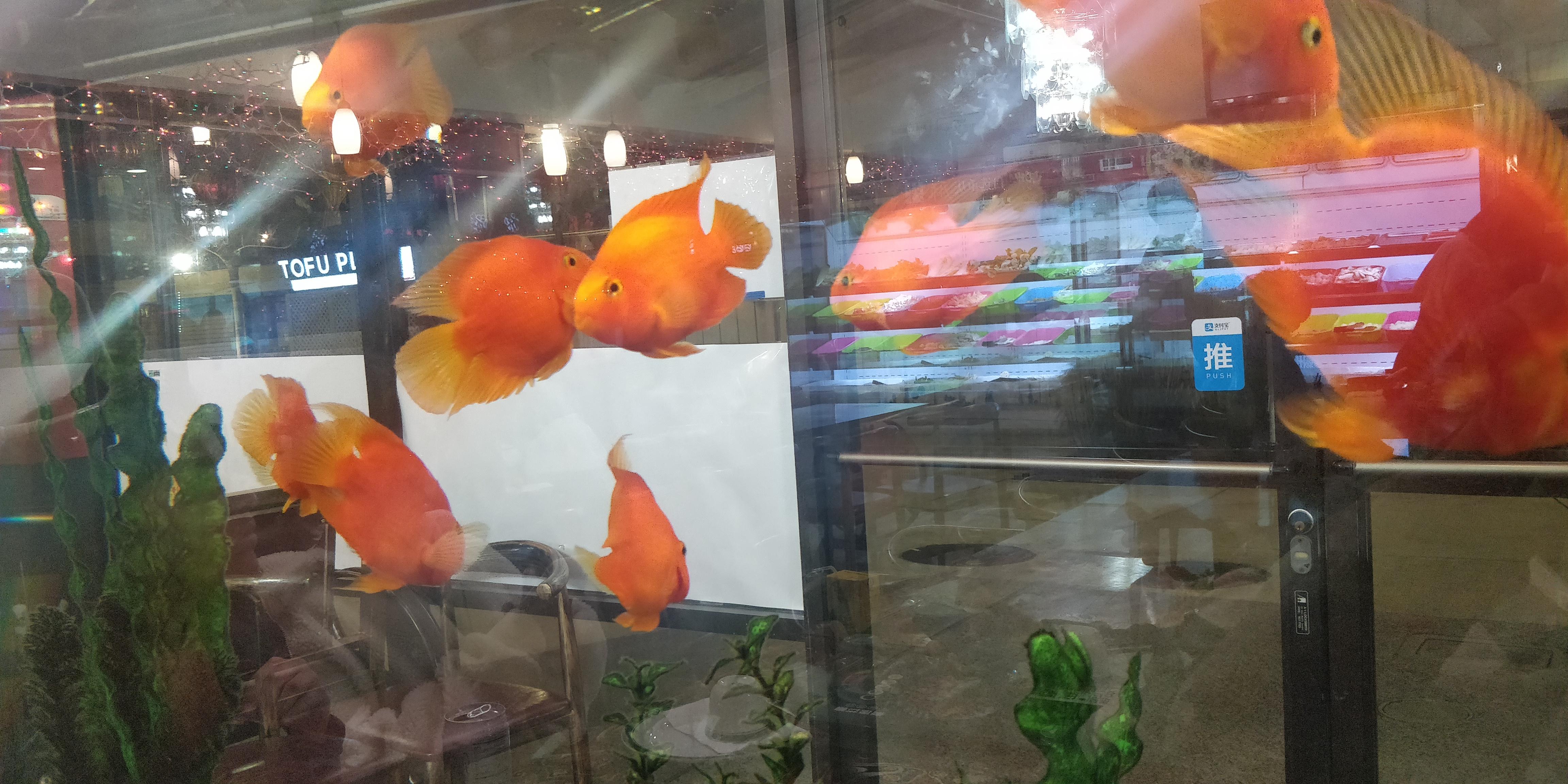 Reddit Dive into anything