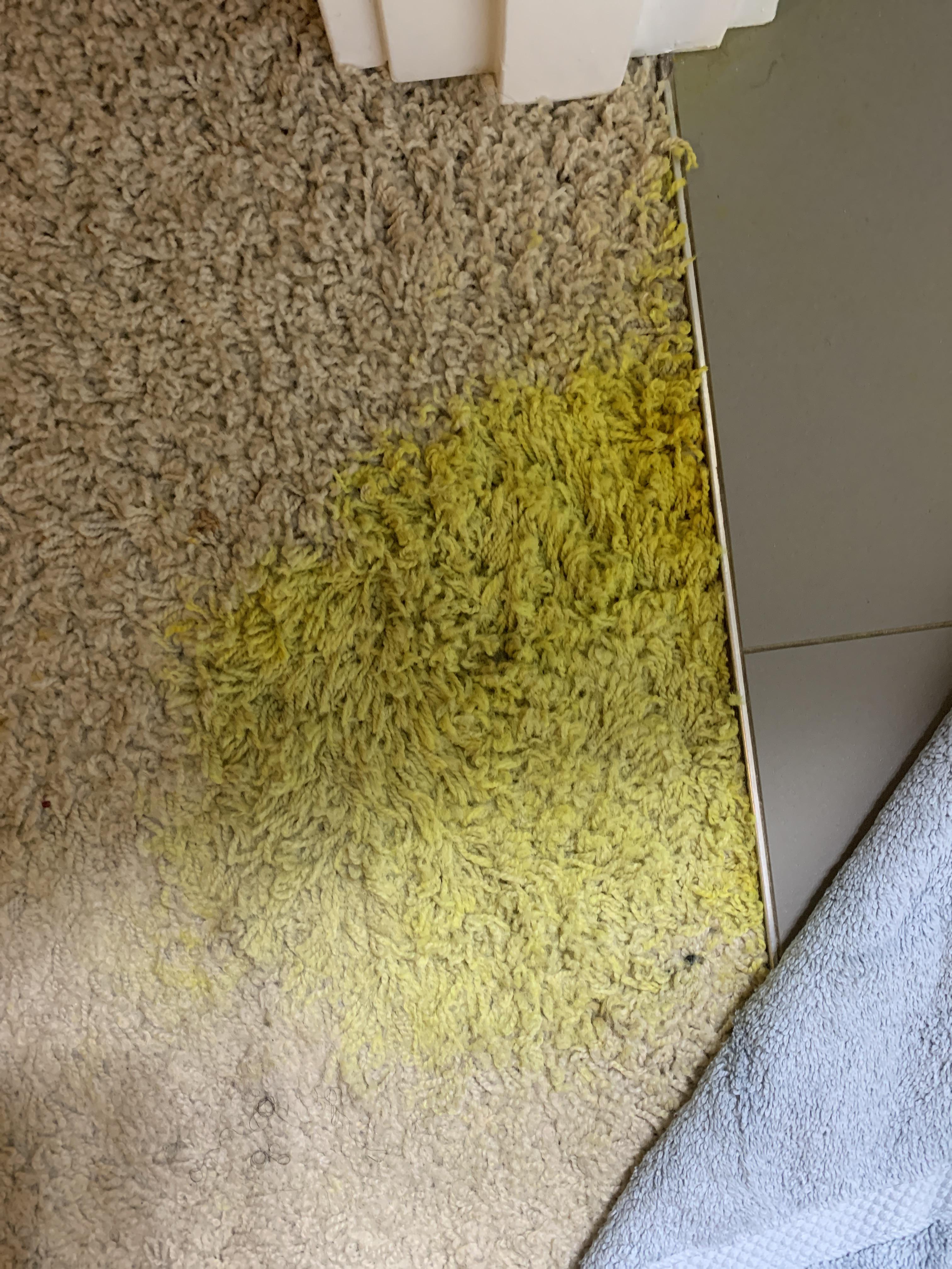 Nasty turmeric stain on the carpet outside my parents’ kitchen 😬 any