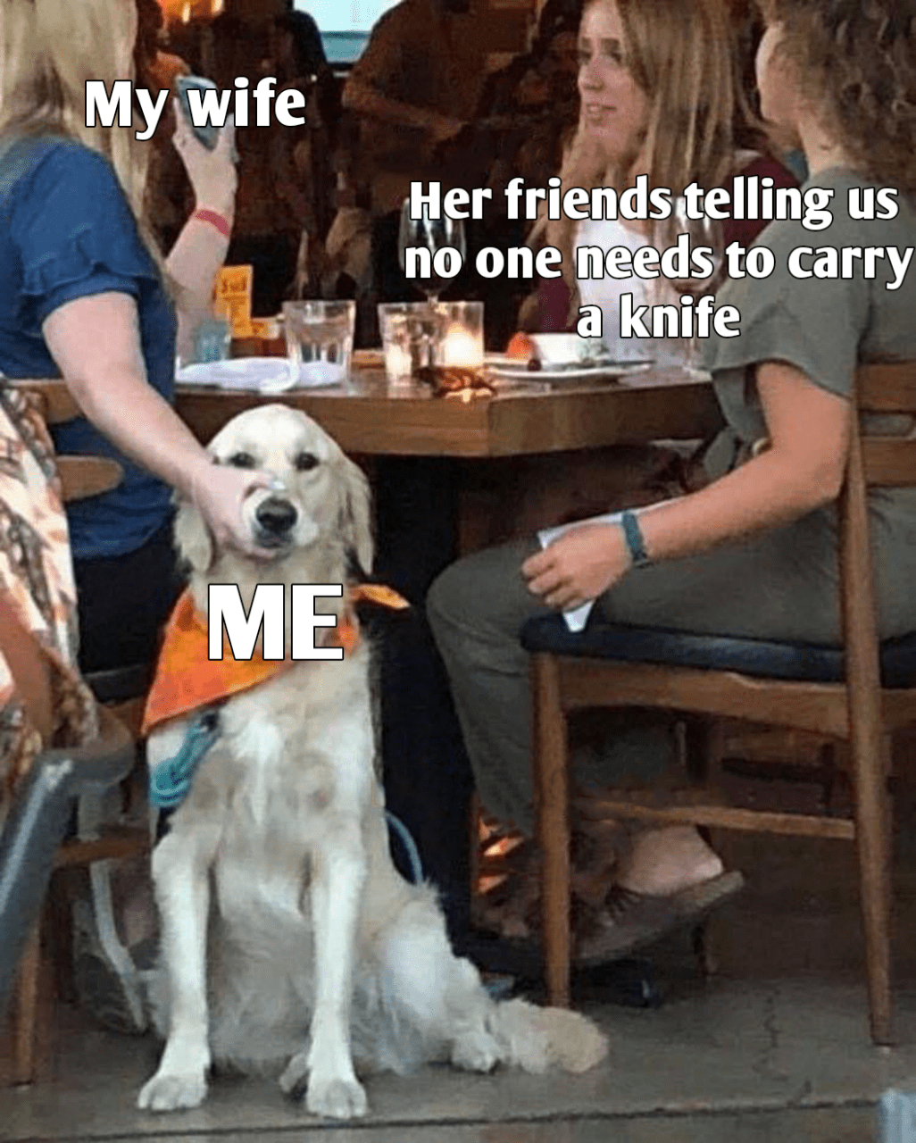 Woman holding dog's mouth r/MemeTemplatesOfficial