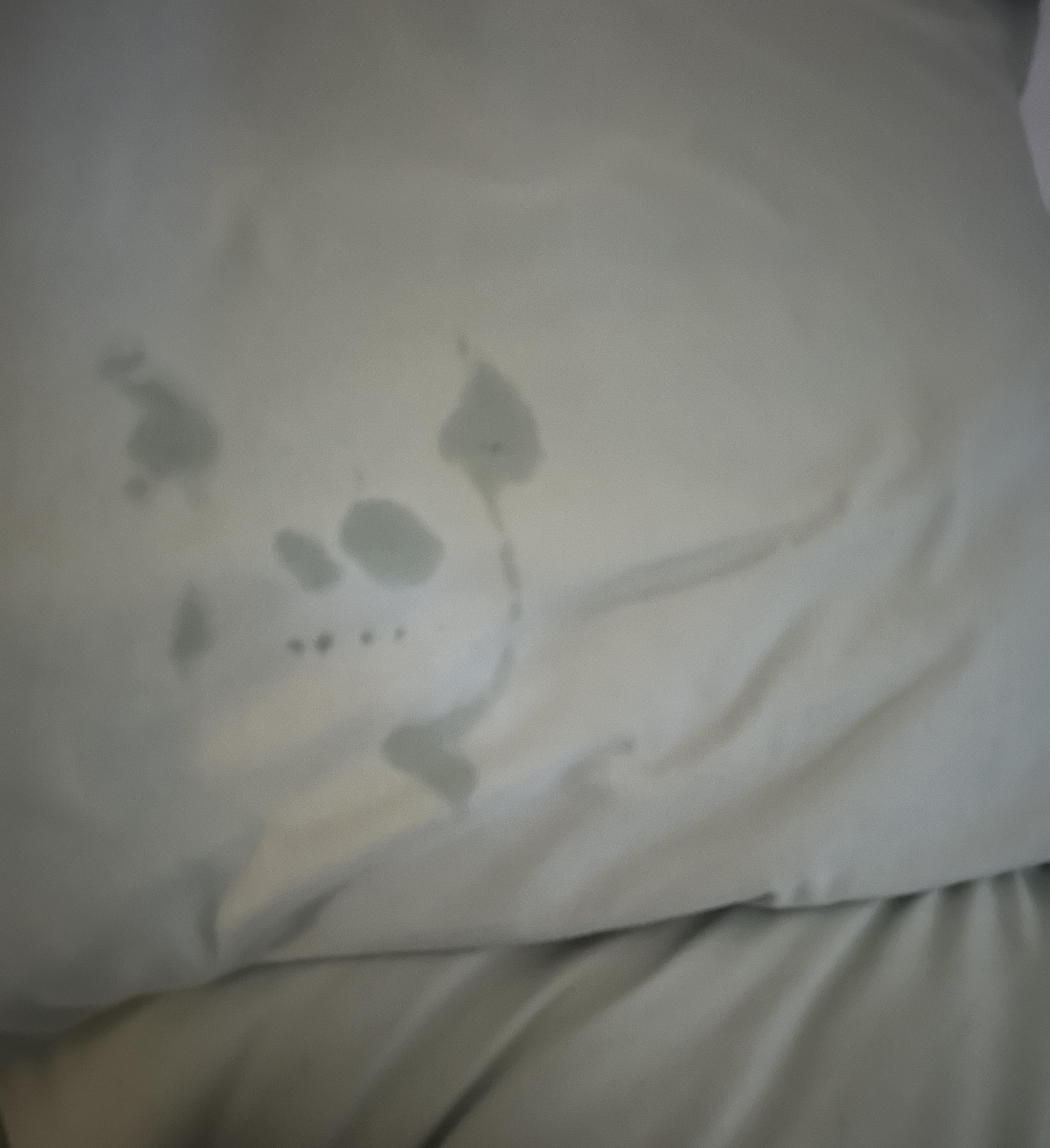 what my pillow looked like after I cried into it r/mildlyinteresting