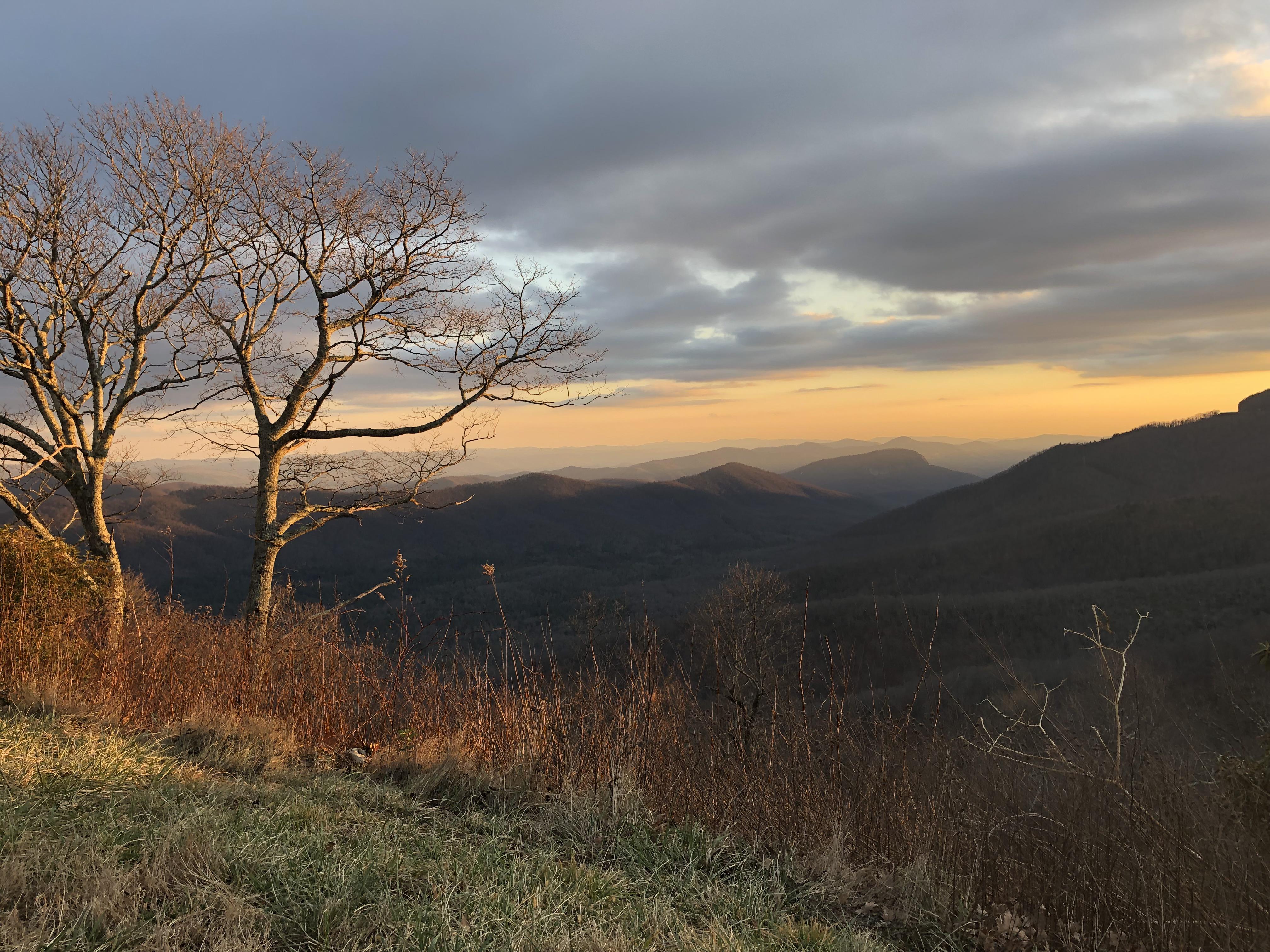 Weekend appreciation post Pisgah National Forest r/asheville