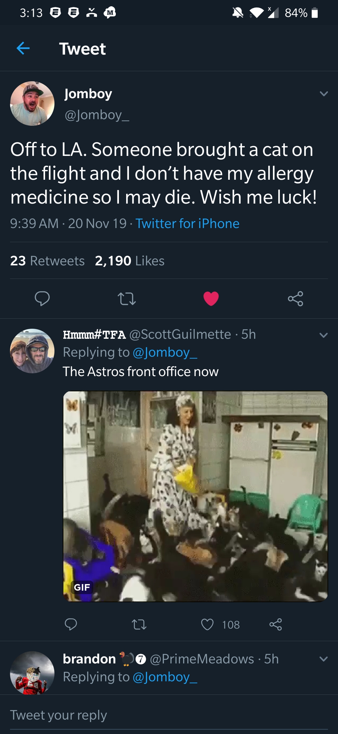 Why are pets allowed on planes though people are allergic but peanuts