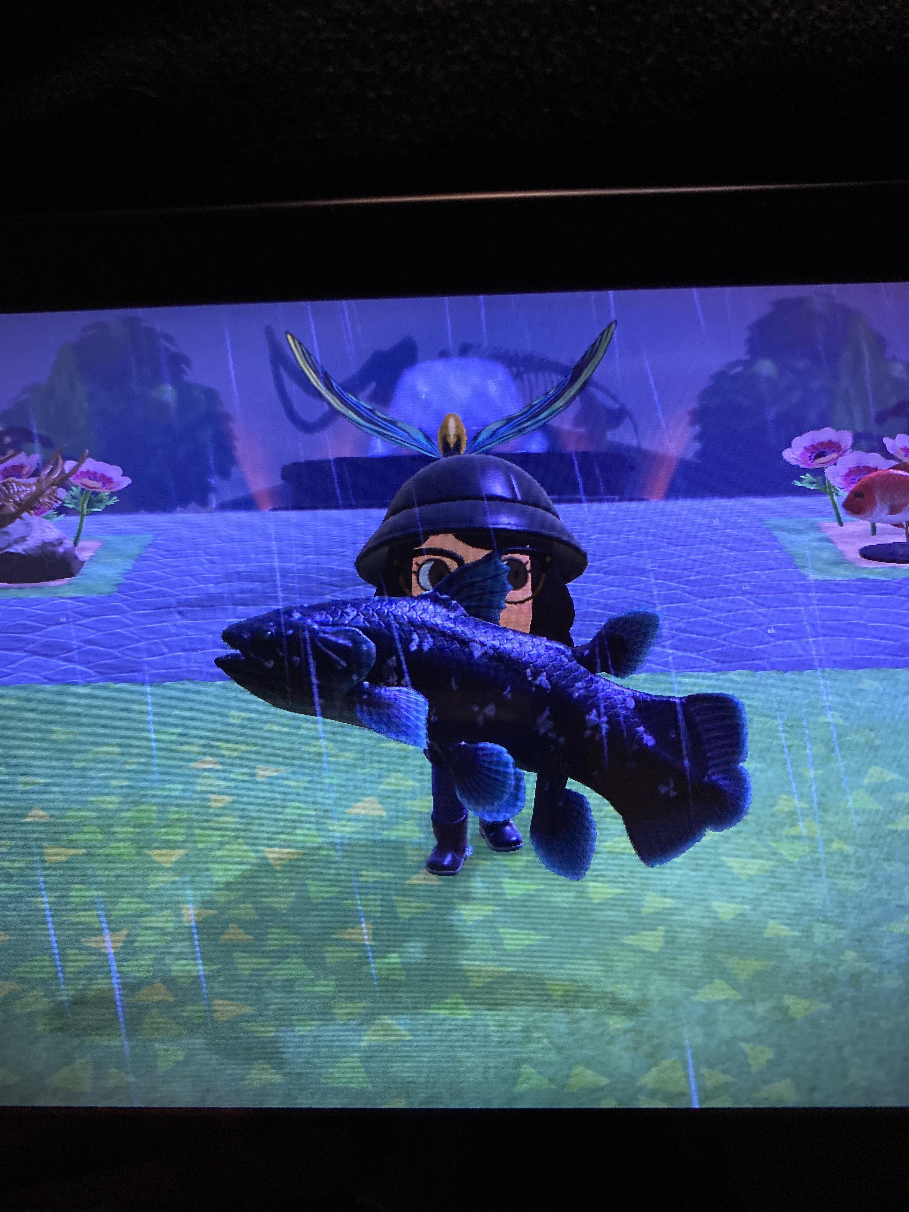 When you finally catch that 15k fish.....then remember you have to