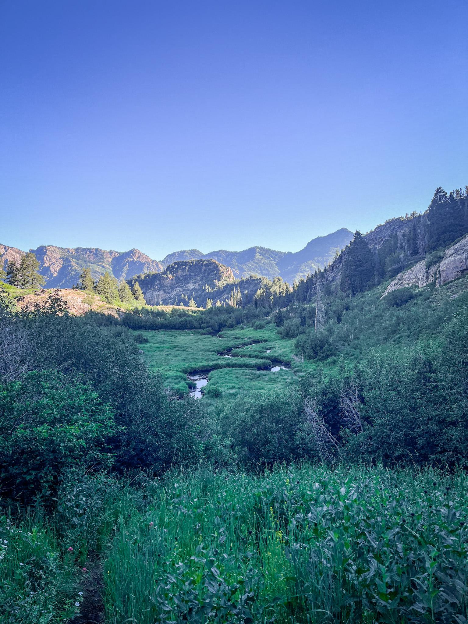 Big Cottonwood Canyon, Utah, USA. r/hiking