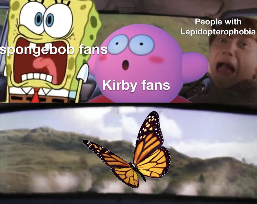 FEAR THE BUTTERFLY r/Kirby