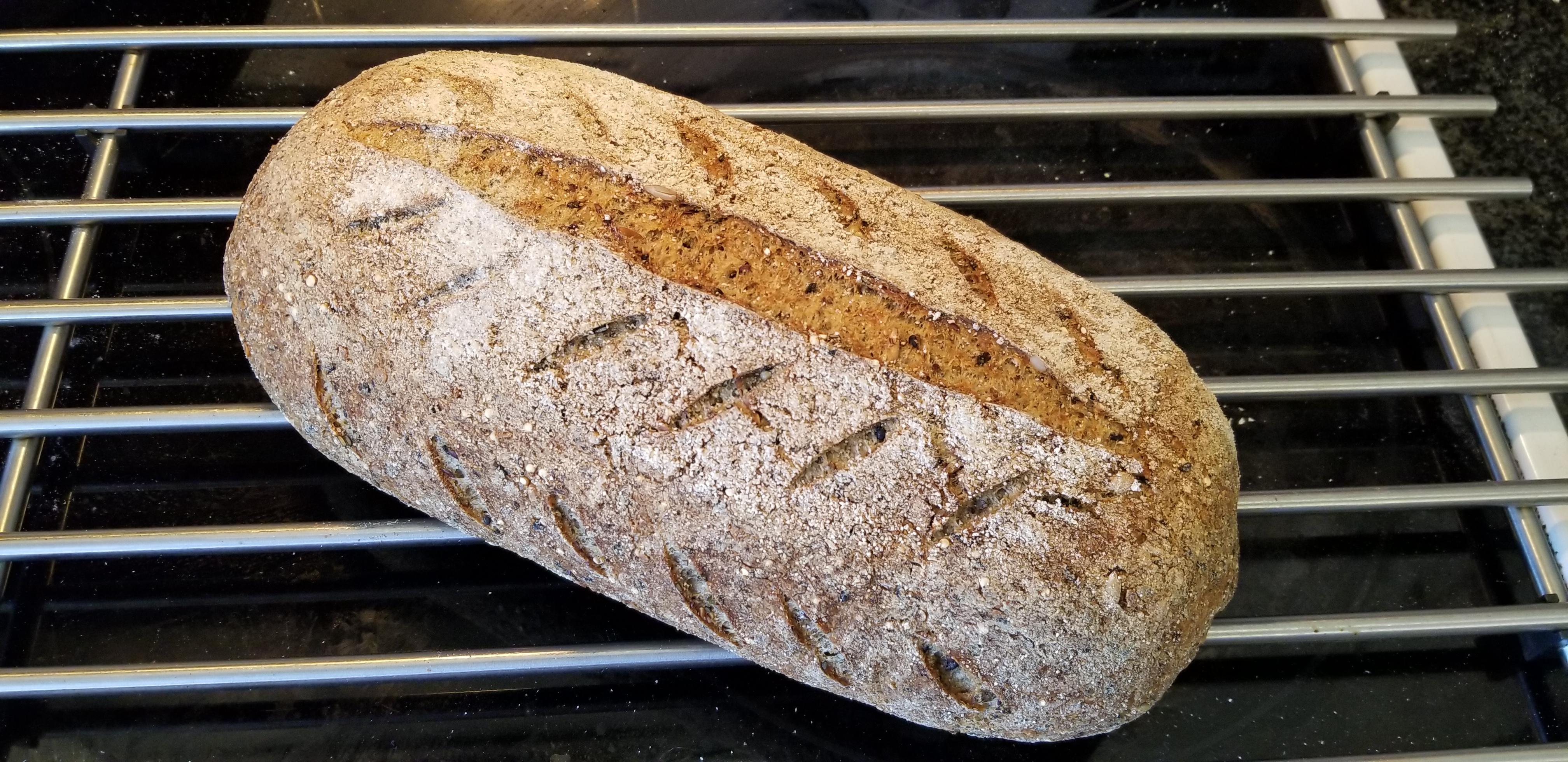Who said you couldn't make gluten free vegan sourdough rise! This is a