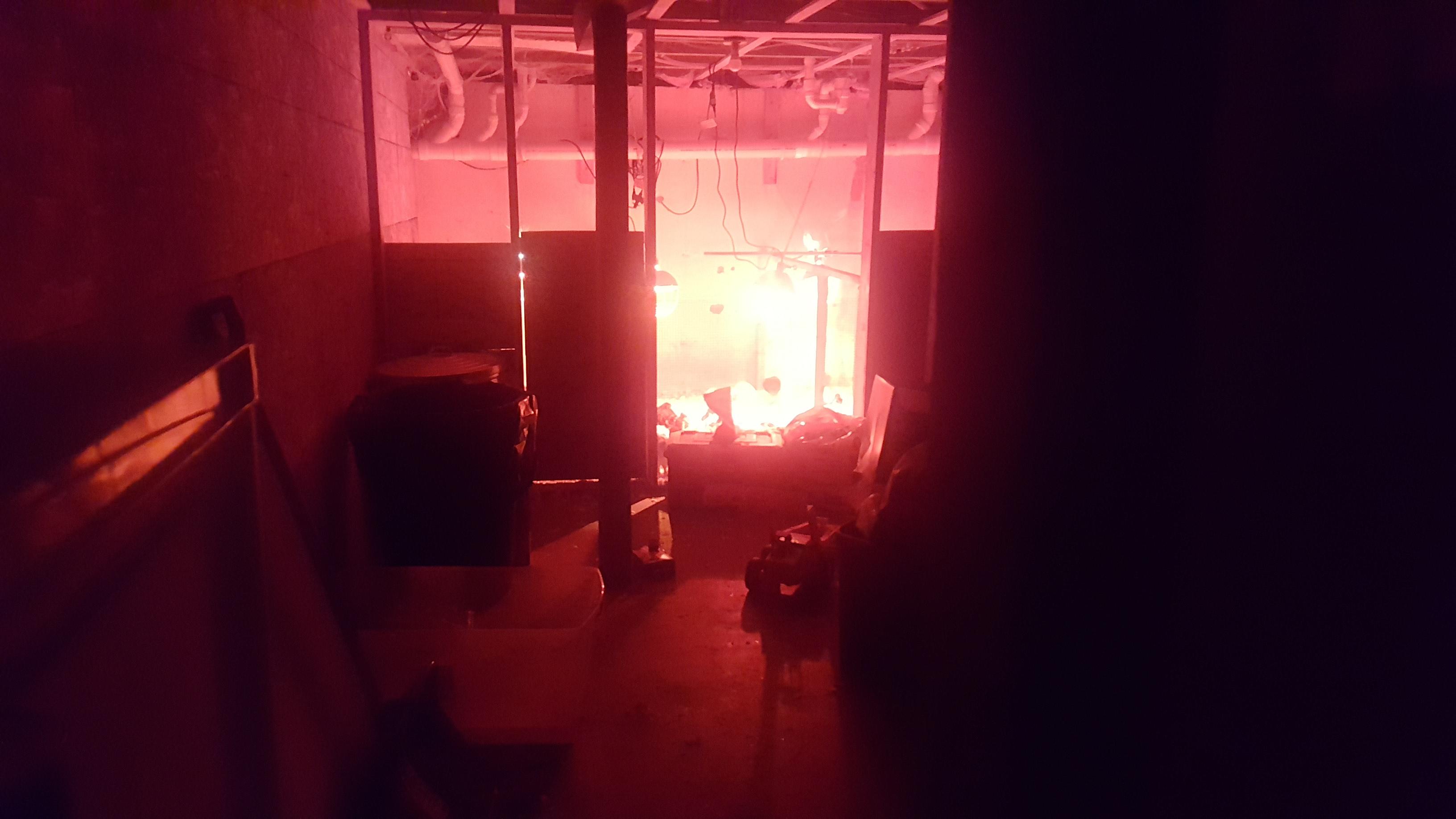 The Chicken Coop In My Basement After Turning The Lights Off After Dark