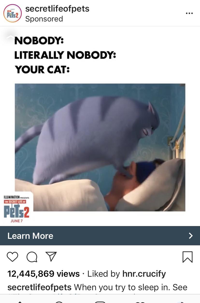 This is why Reddit is better than Instagram FellowKids