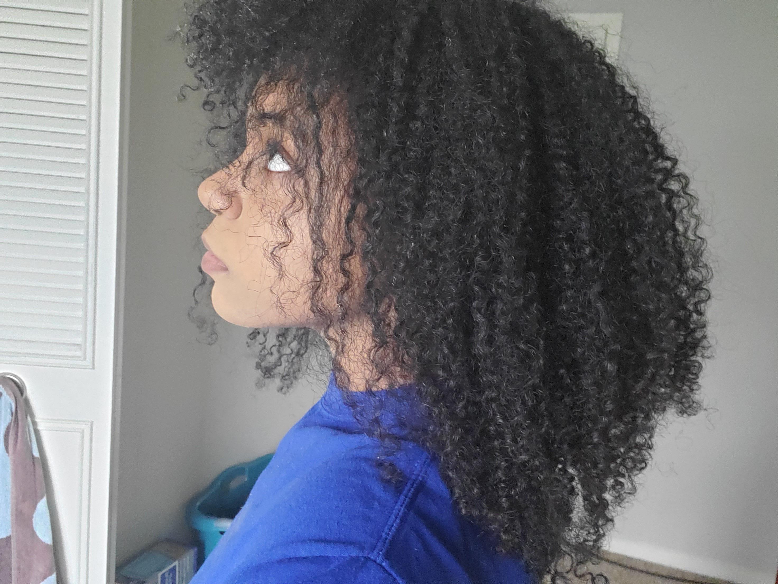 My hair 2 weeks after a wash n go r/Naturalhair