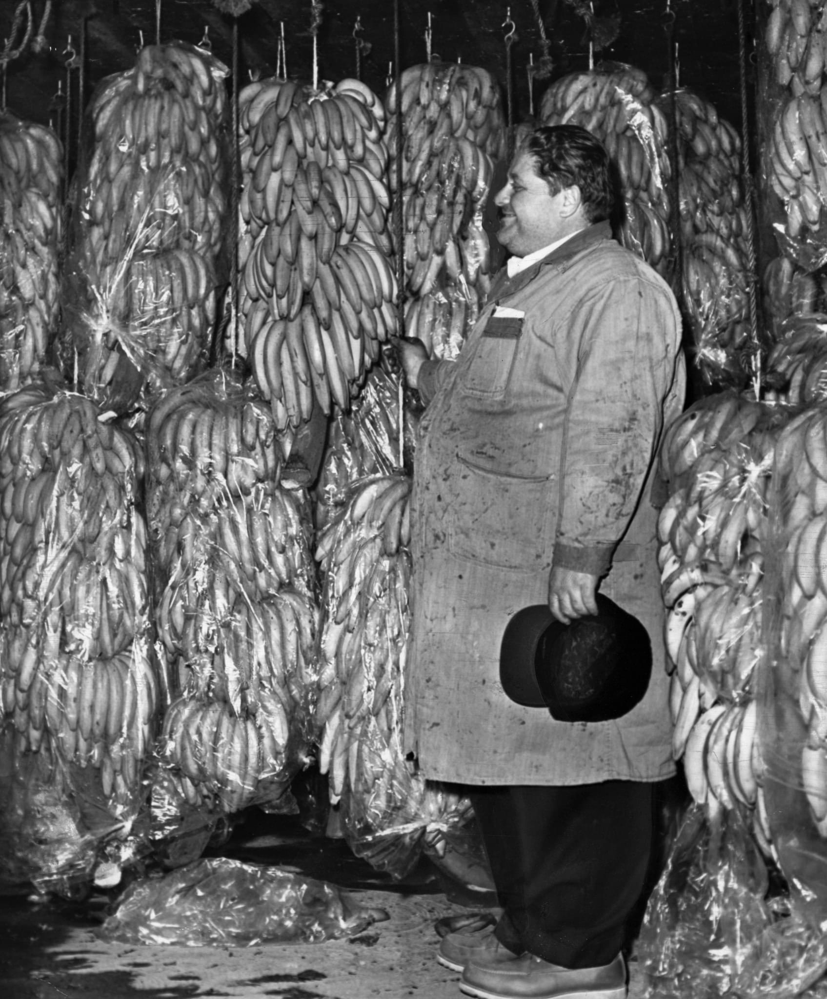 Sy Bayman, manager of Curatolo Banana Corporation, in the refrigerator