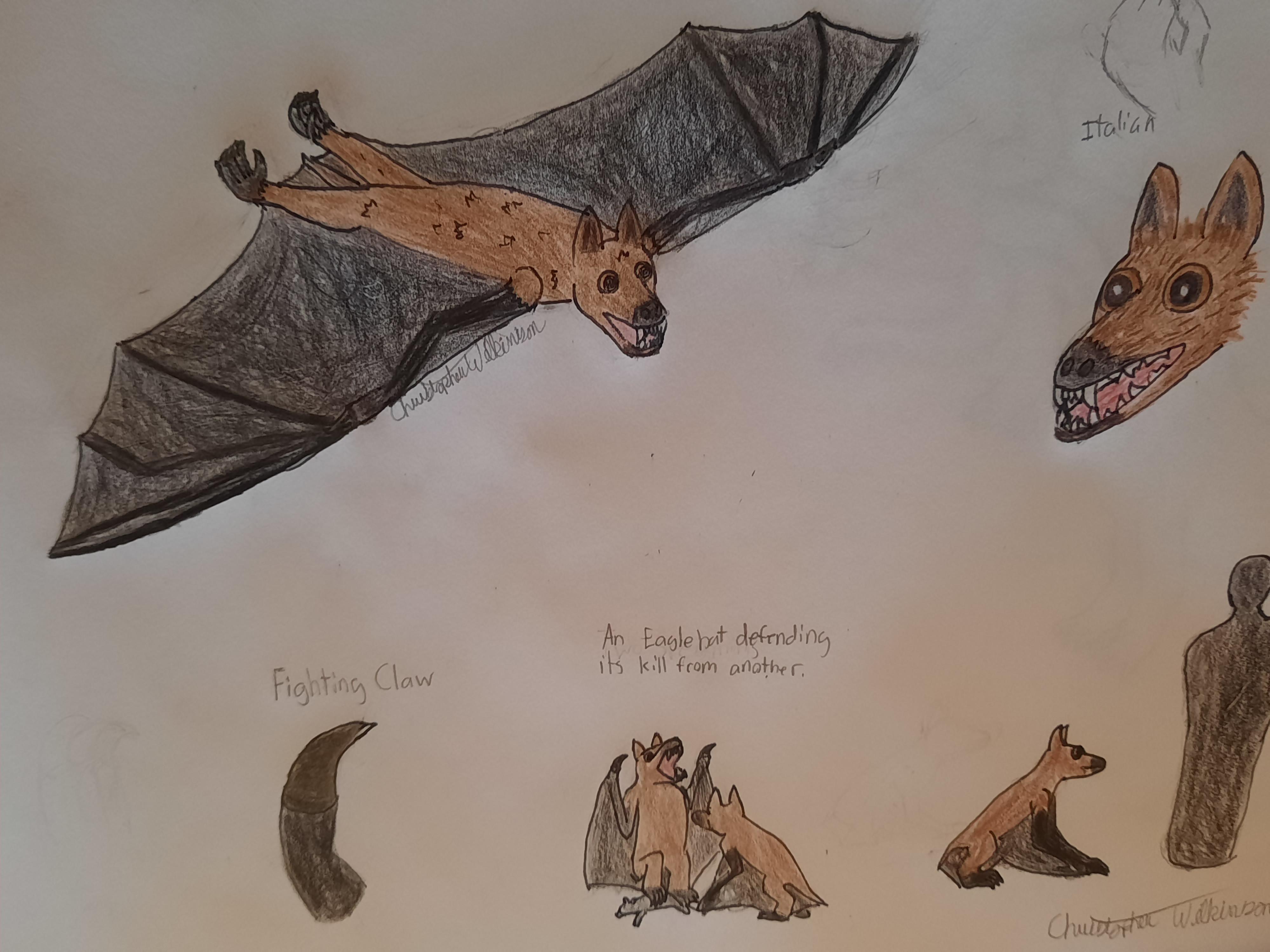 One time I saw I saw a post about a bat that evolved into the eagle