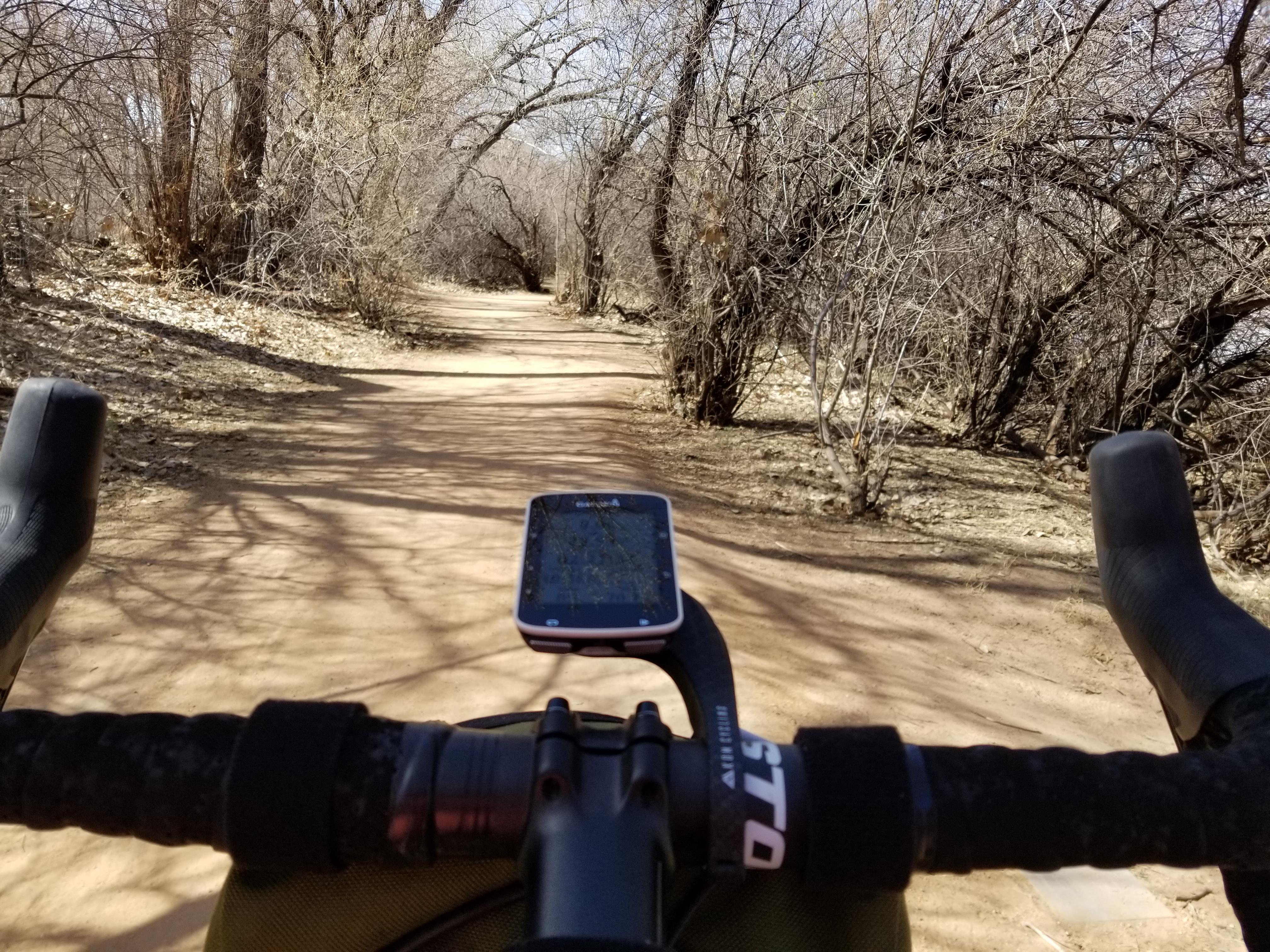 Gravel bike riding in Albuquerque includes miles and miles of bosque