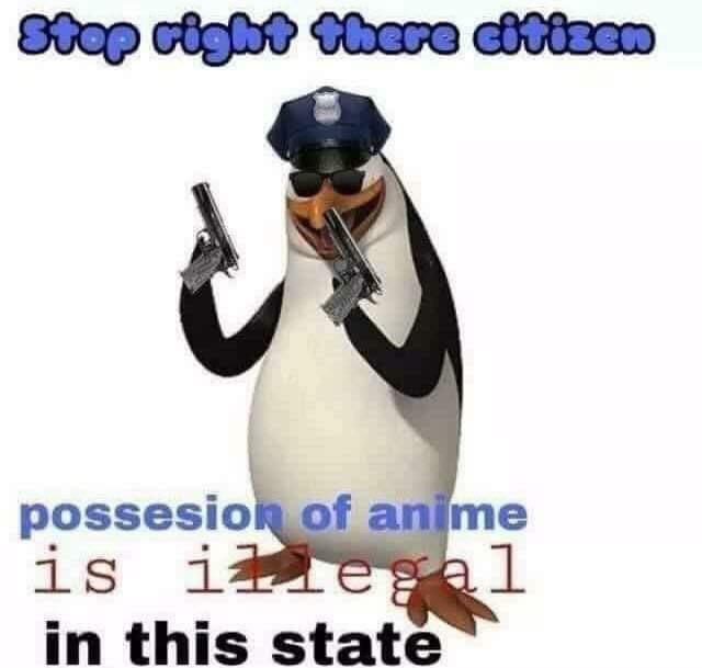 anime is illegal r/Animemes