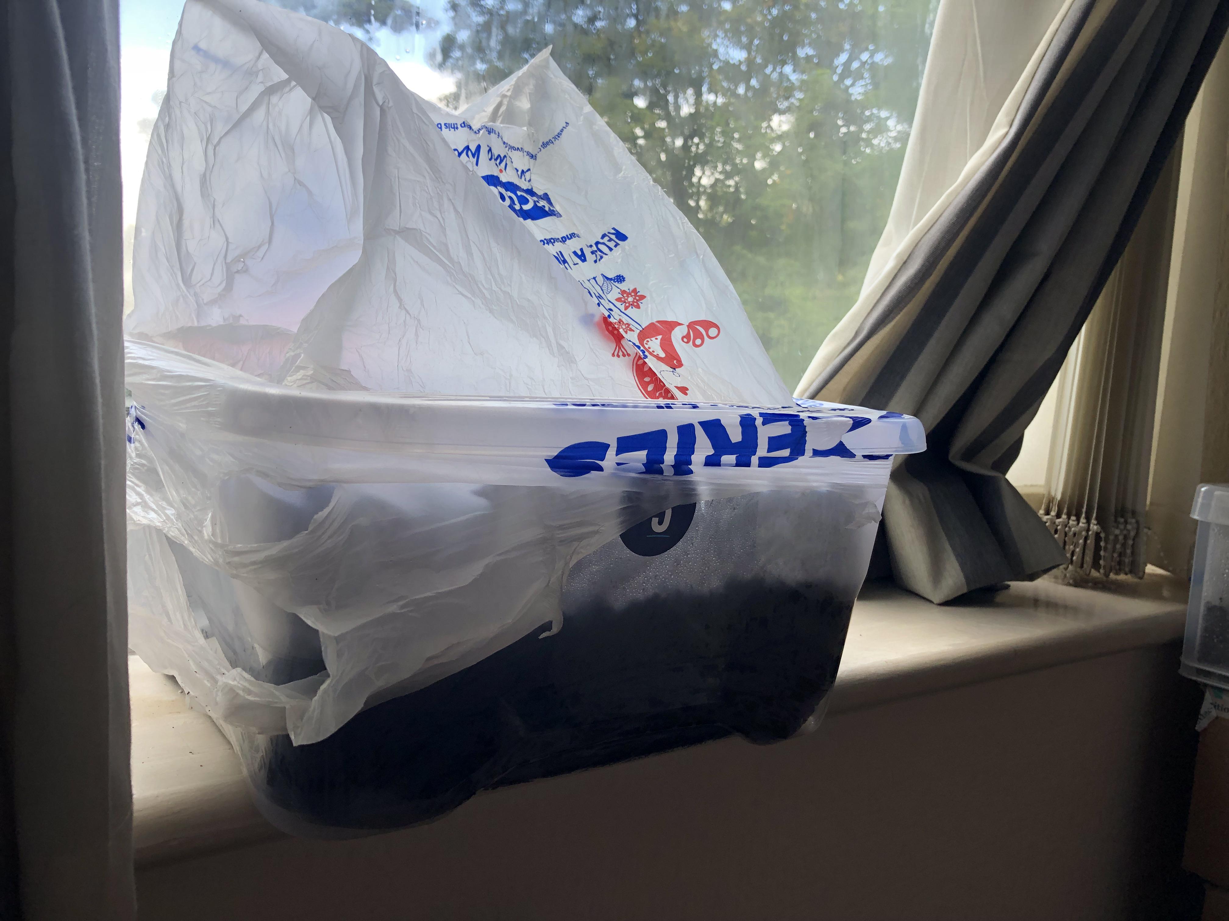 Bods easy AF shoebox tek 👌🏽 r/shrooms