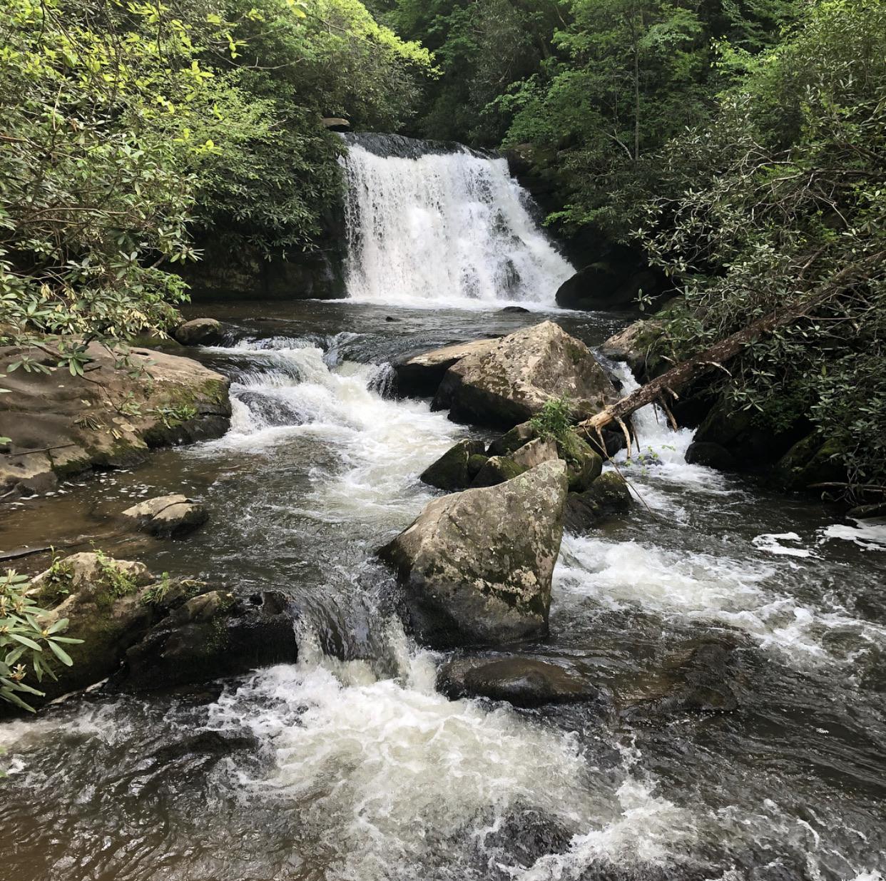 Yellow Creek NC [OC] [1242 x 1235] r/EarthPorn