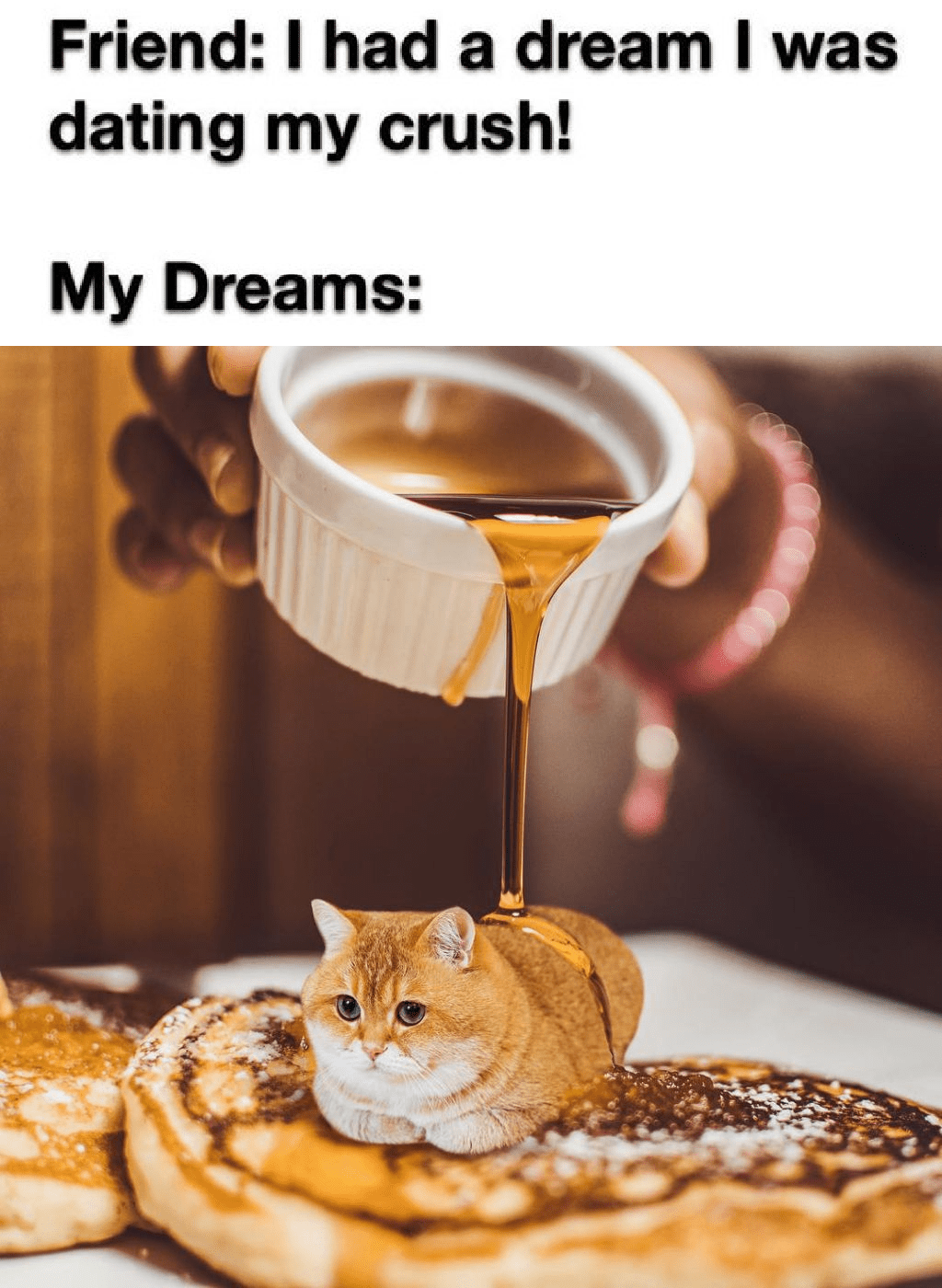 Pancake Cat with Maple Syrup r/dankmemes