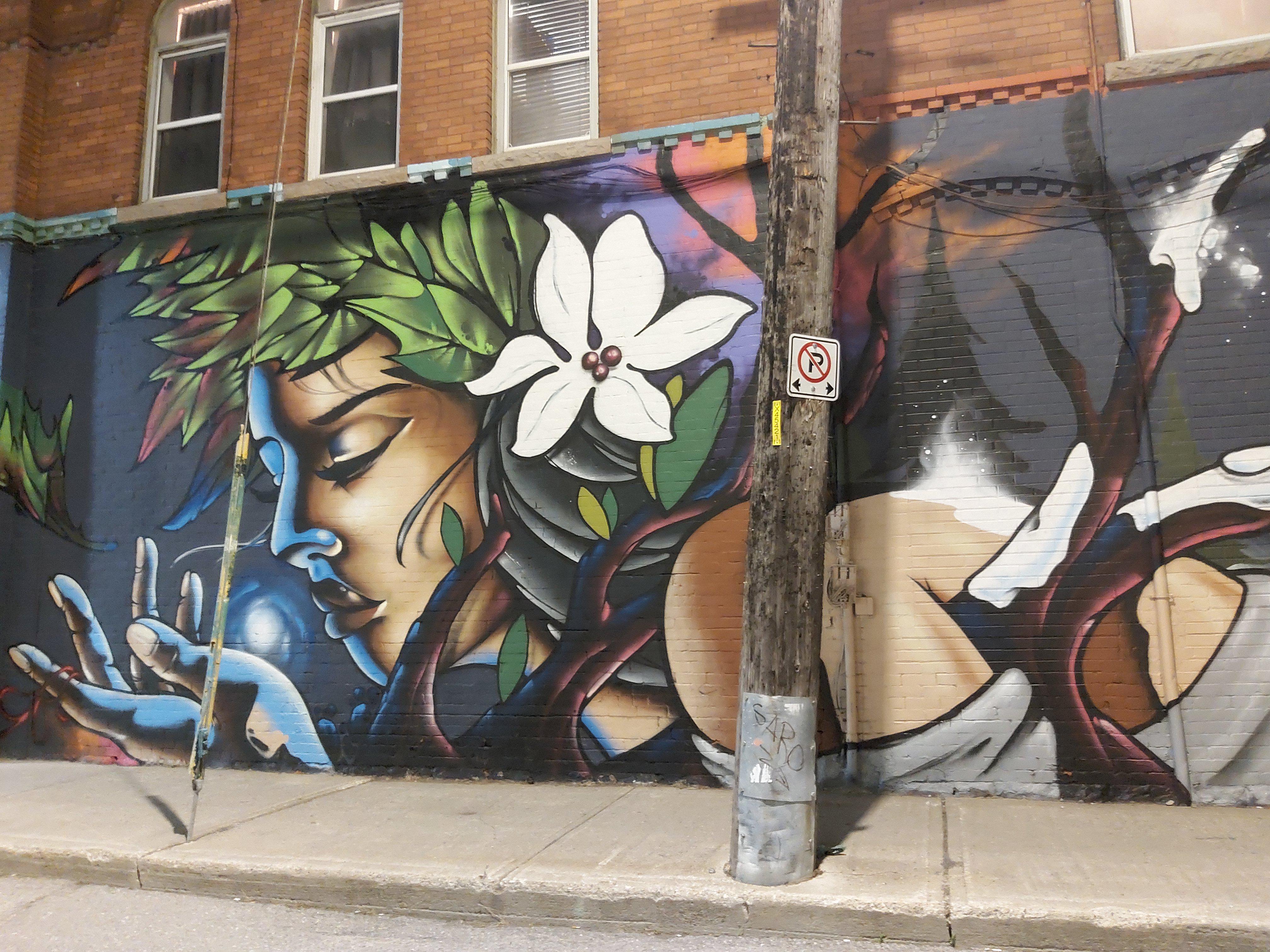 Street art found in the cities capital Ottawa, Ontario Canada. r/pics