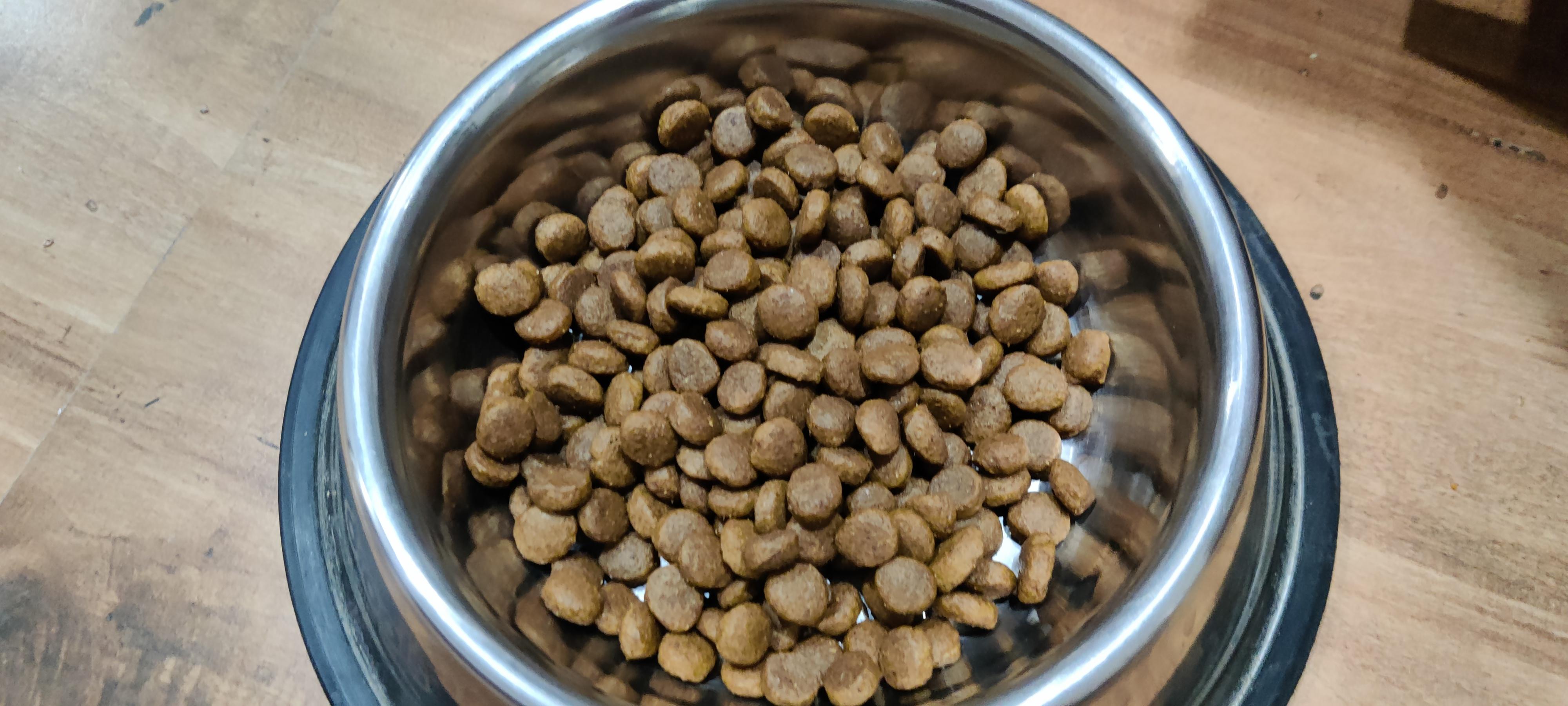 Is this enough royal canin kibble starter for my 9 week old German