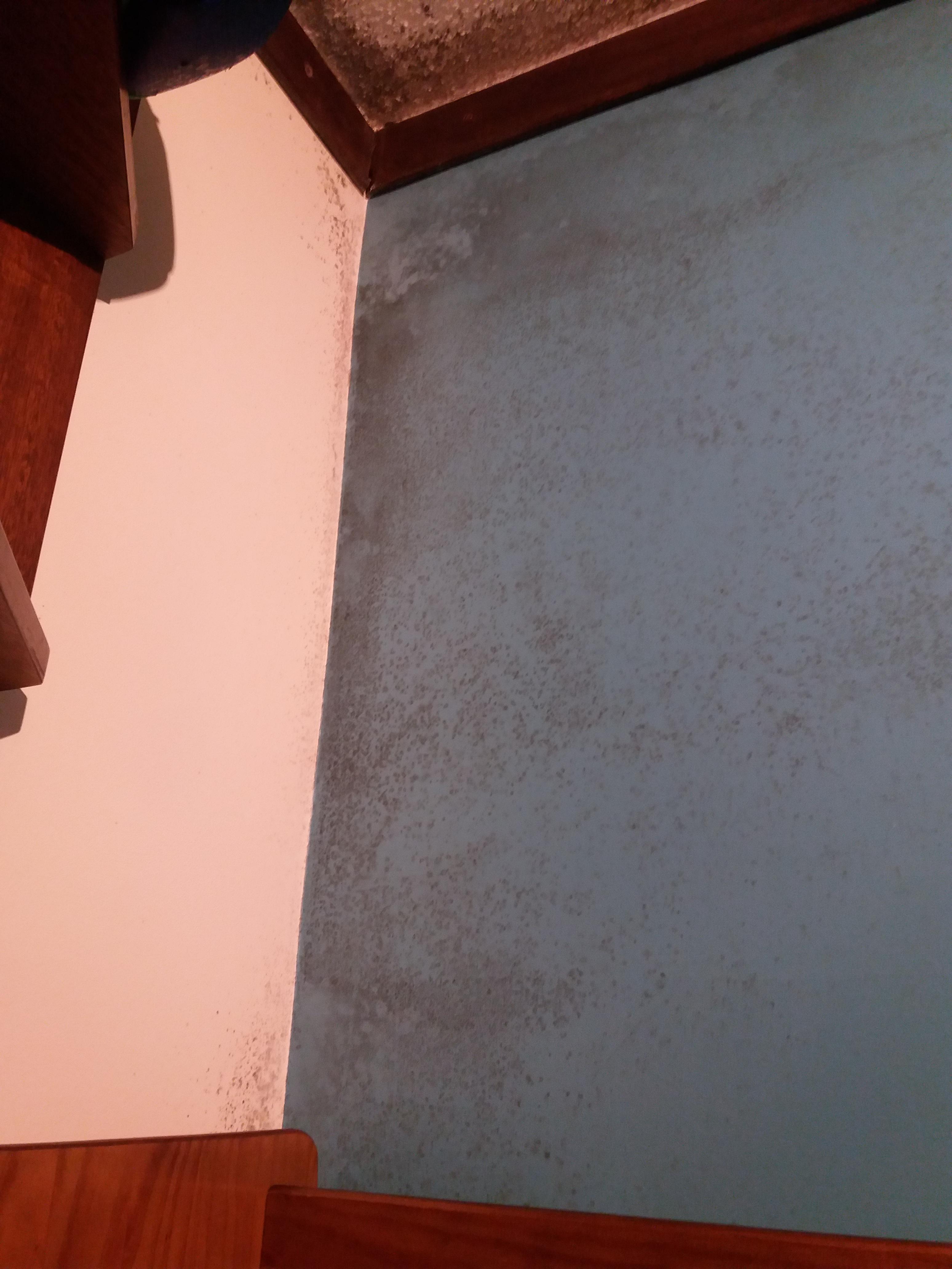 Is this level of mold dangerous? r/medical_advice