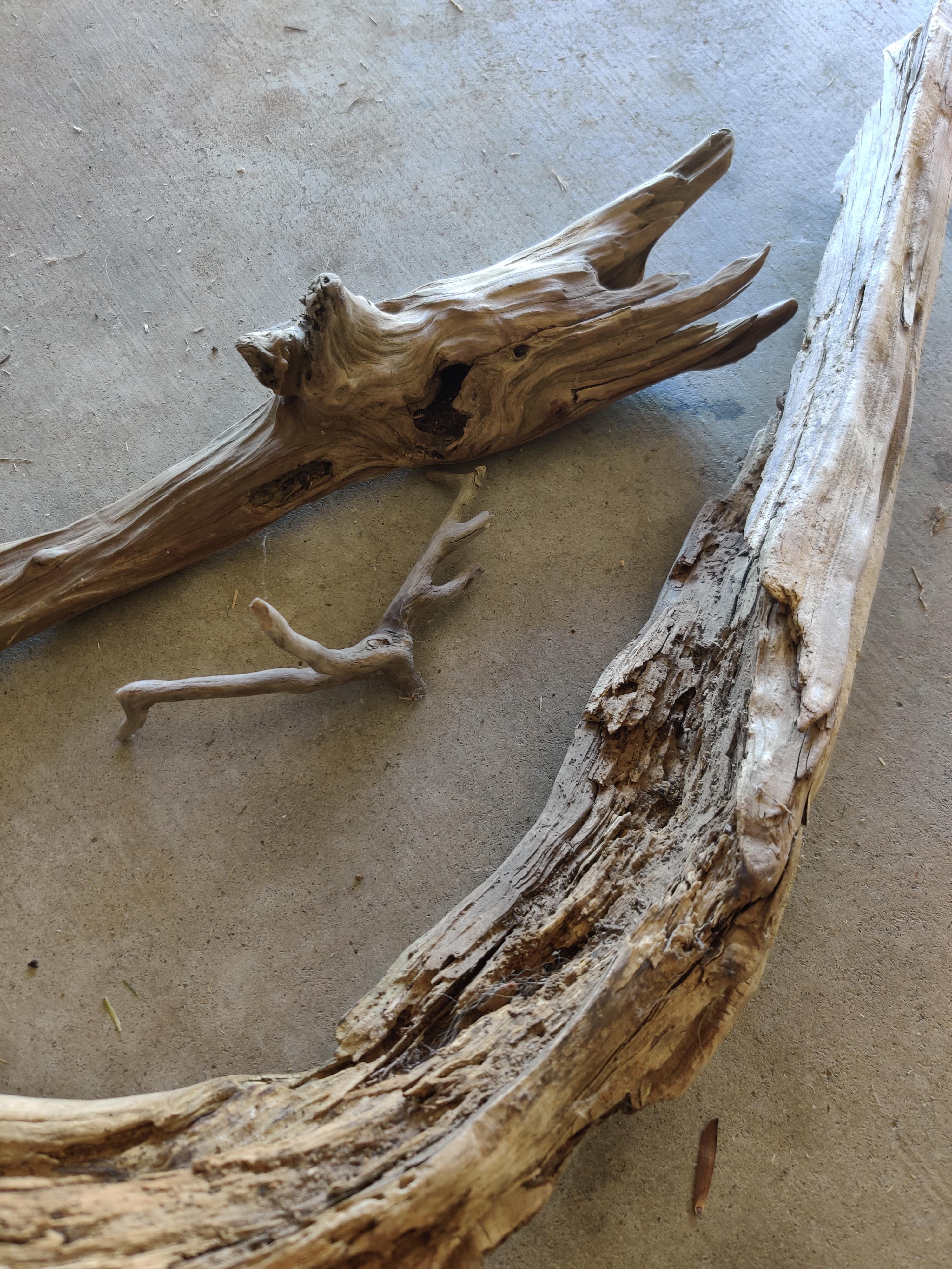 Driftwood r/Aquariums