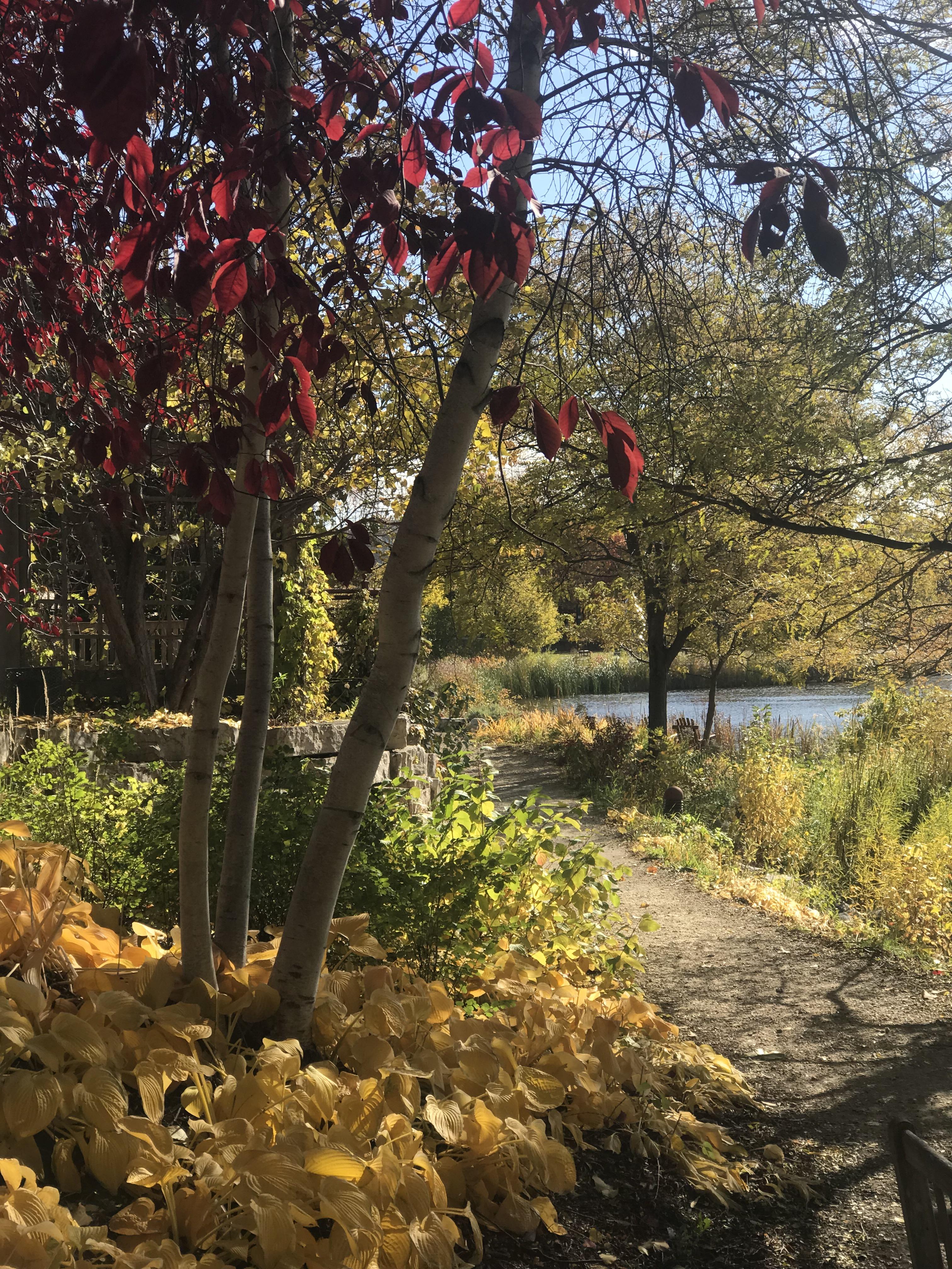 Centennial Lakes was looking absolutely today. r/TwinCities