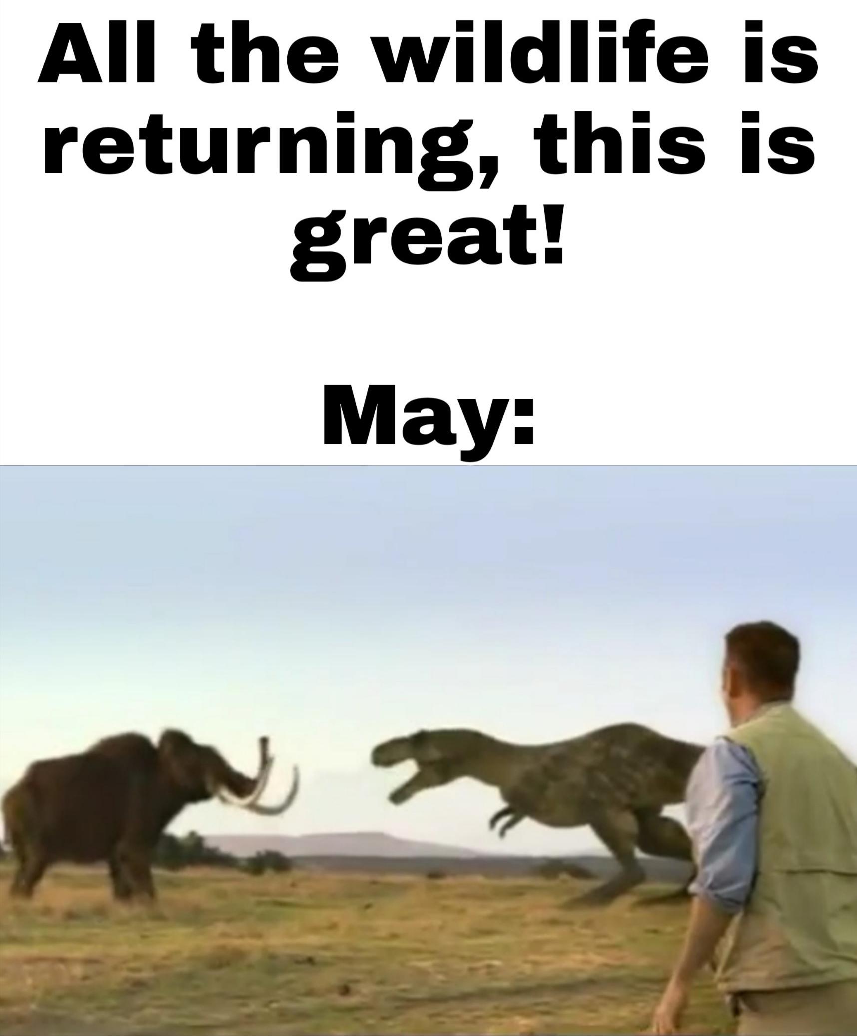 May 12th Nature is fun. r/memes