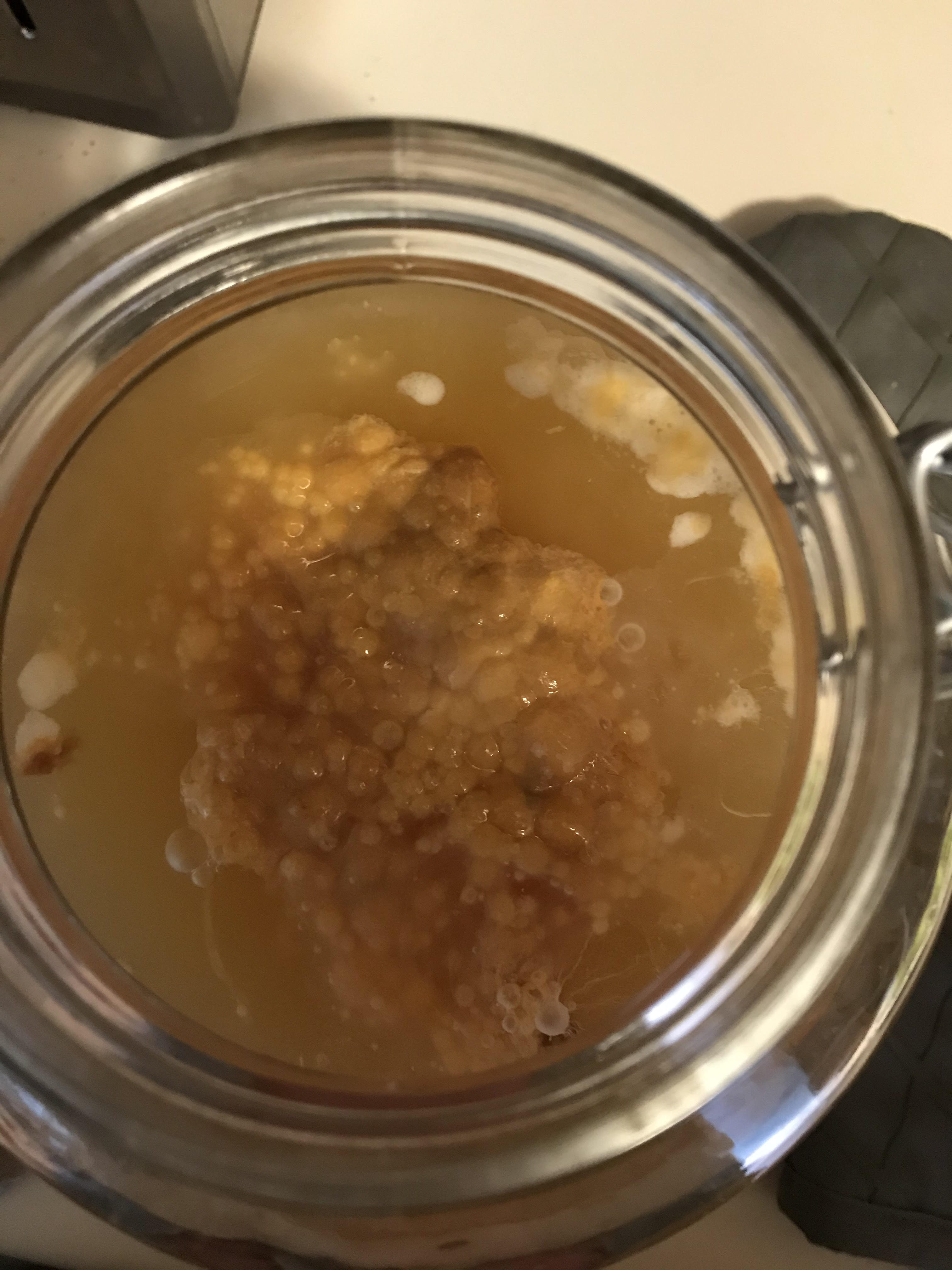 Pretty new to this and not sure about how this scoby is looking. It is an apple juice base, and