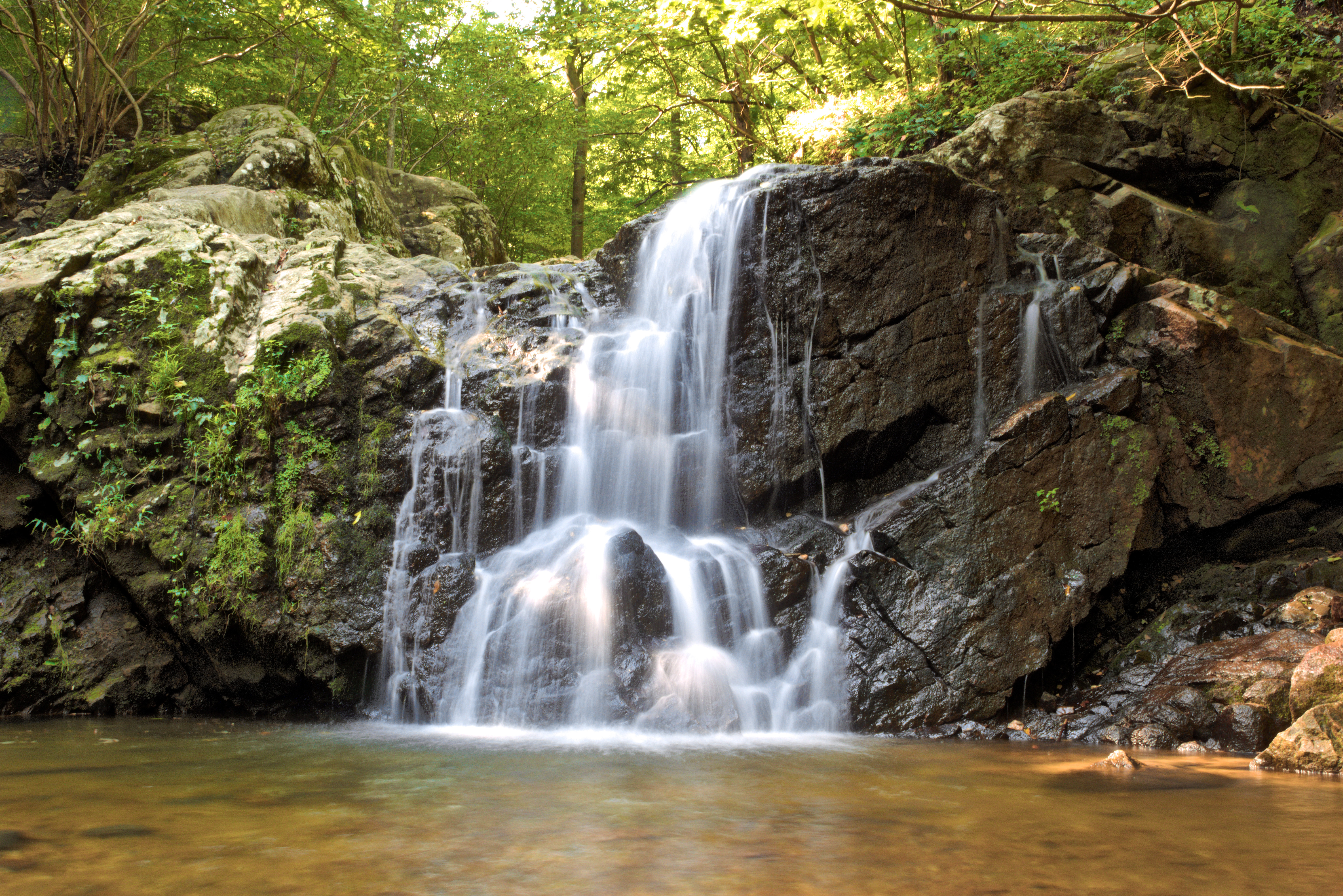 Web want to find the best trails in patapsco valley state park for an adventurous hike or a family trip? Cascade Falls Patapsco Valley State Park, Maryland [OC] [6008x4008