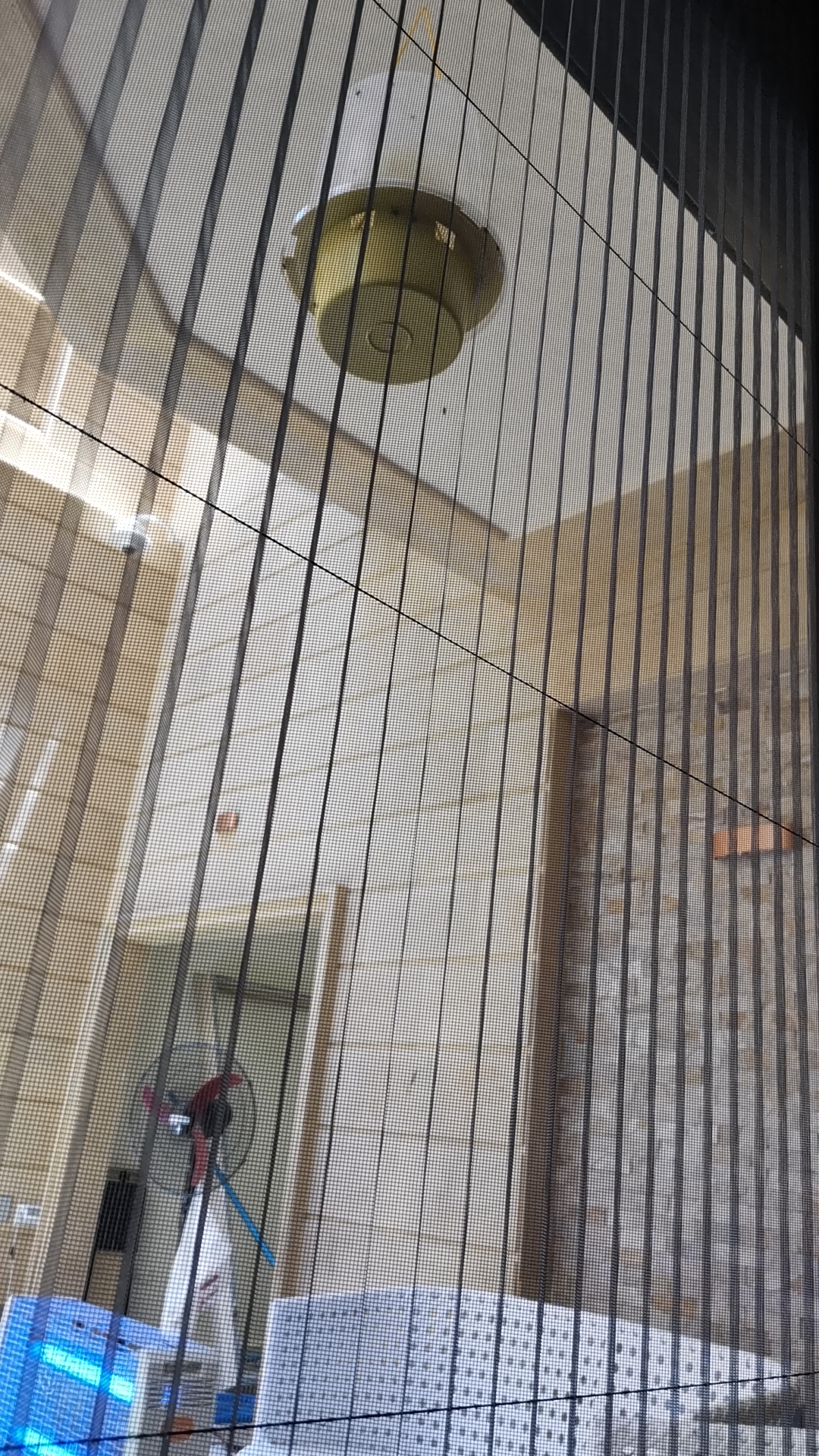 how to get rid of those and are they going to hurt my plants