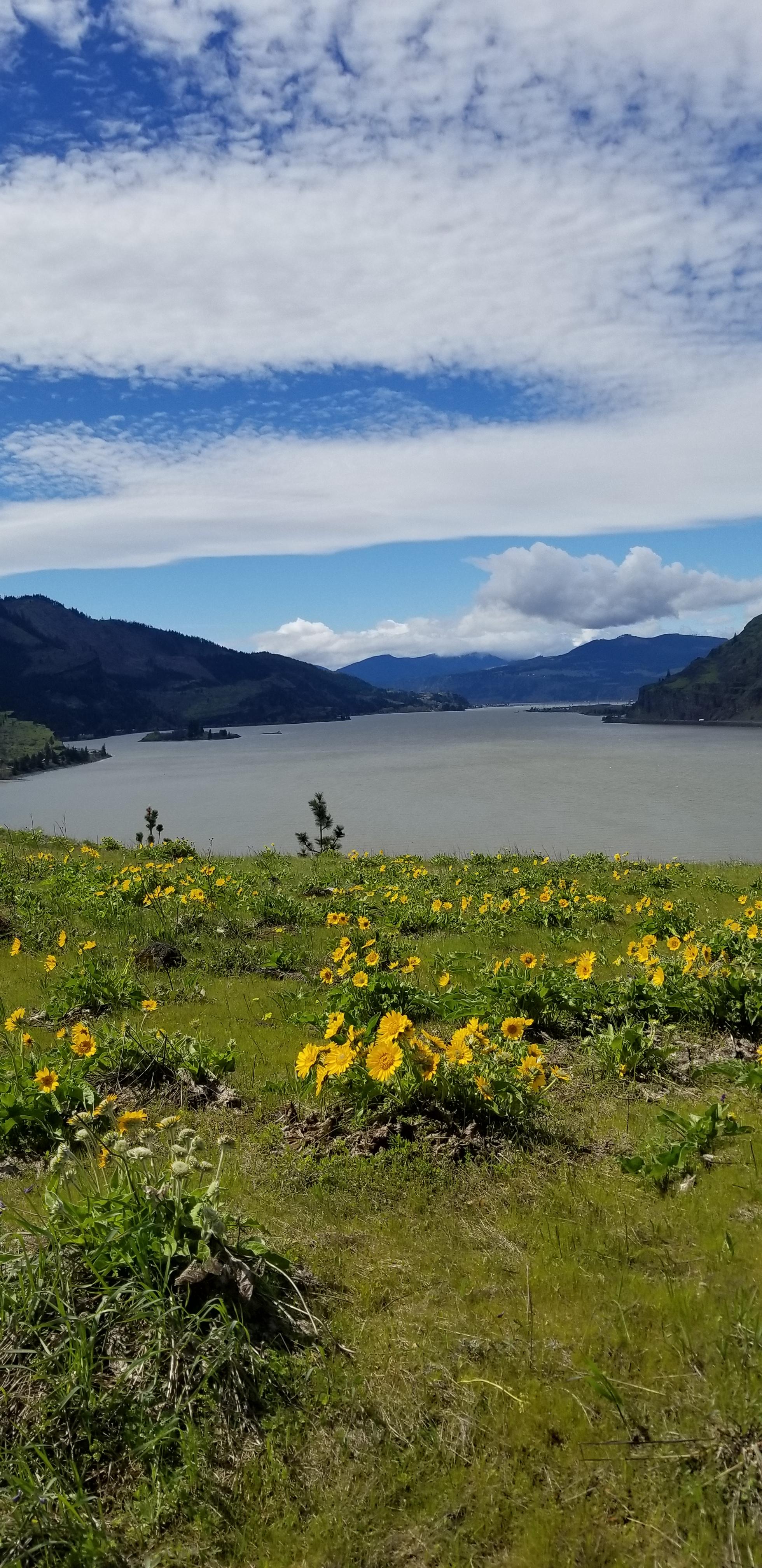 Mosier Plateau, Oregon. (featuring the Columbia River and Washington