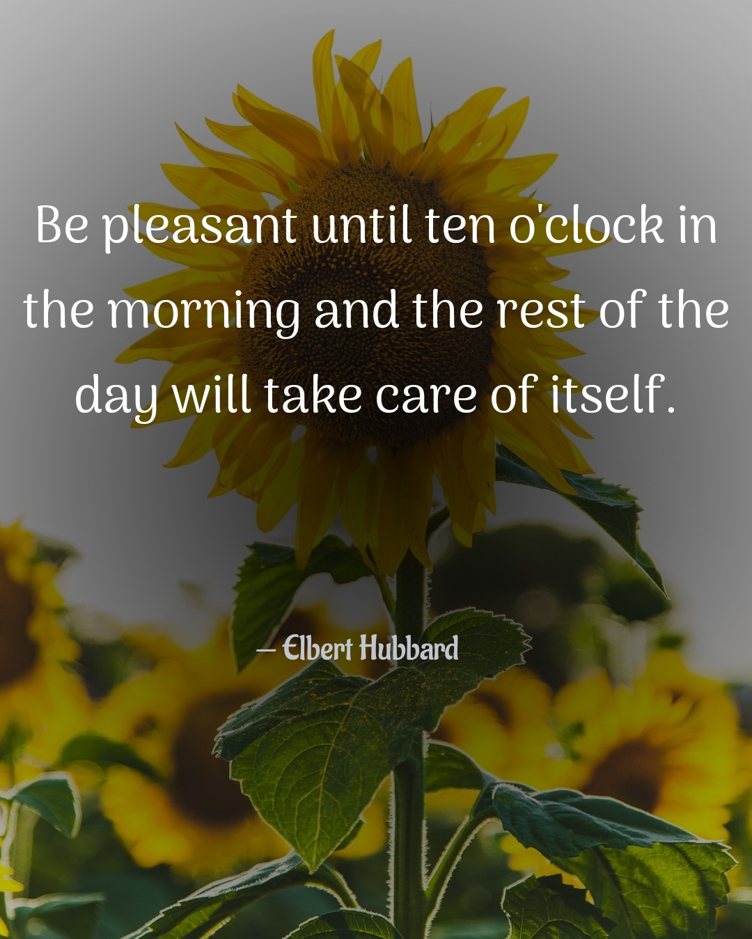 "Be pleasant until ten o'clock in the morning and the rest of the day
