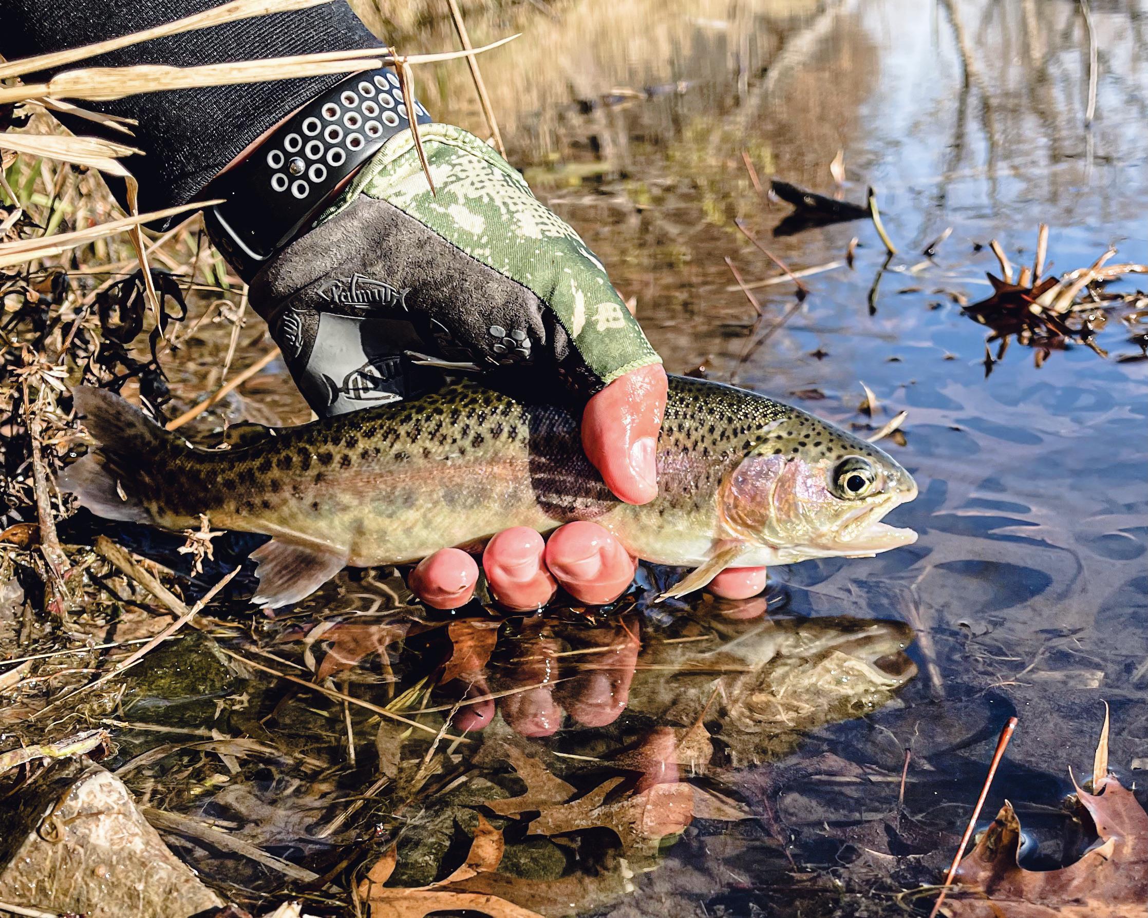 First trout season I’ve fished thanks to you all I’m learning a lot