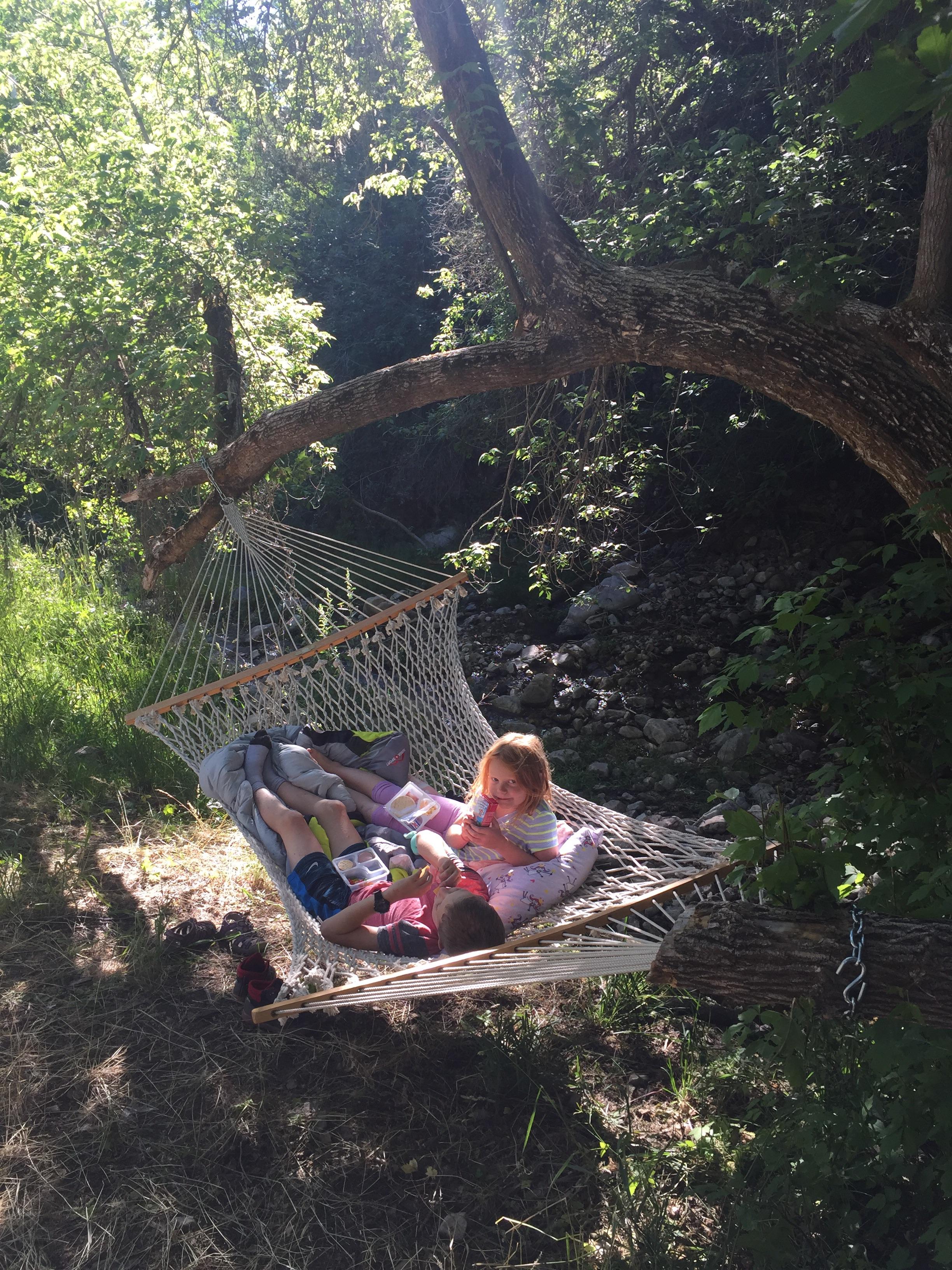 Utah, Tooele County, Stansbury Mountains, North Willow Canyon, Secret
