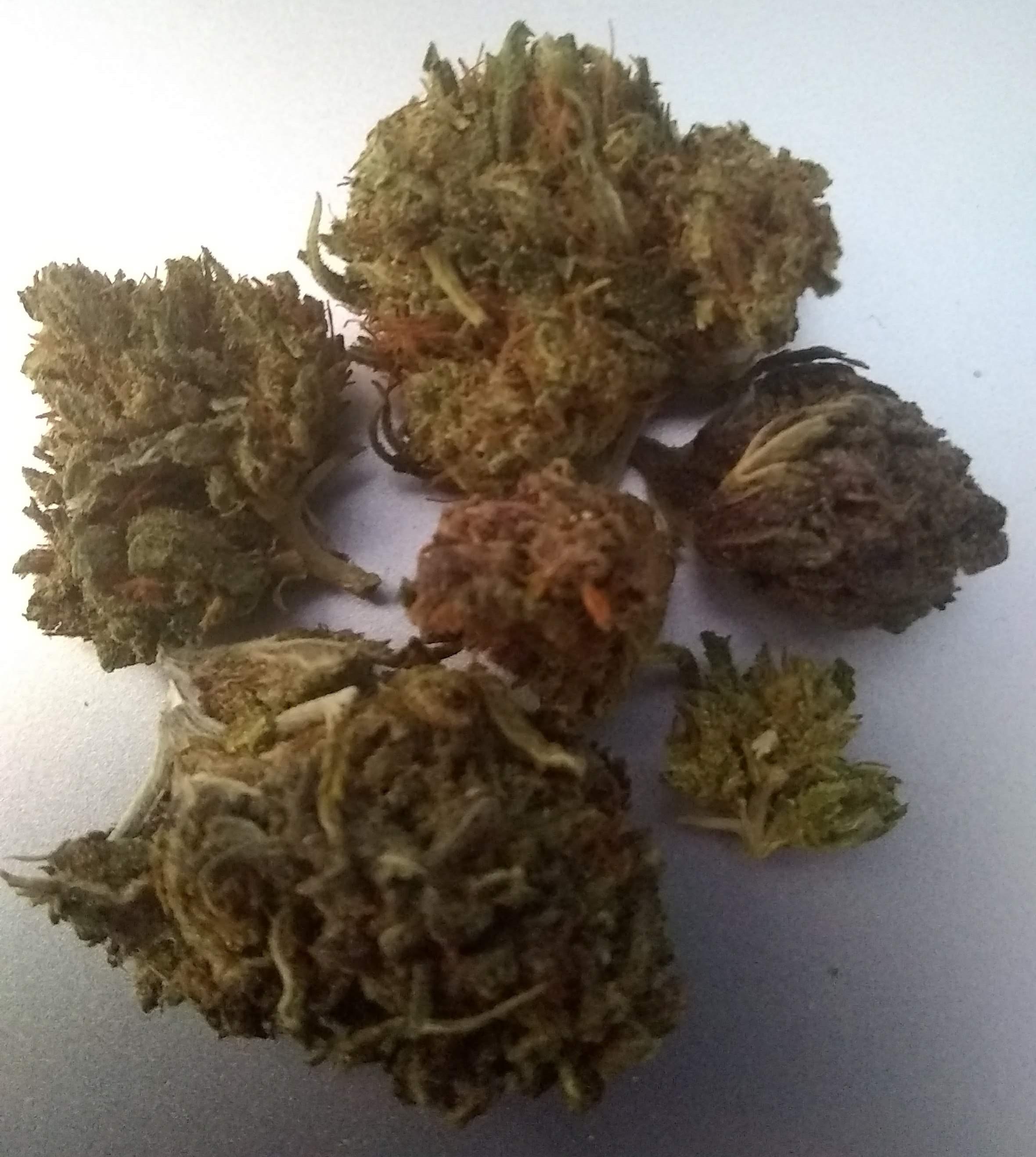 Fields of Hemp LLC Therapy Smalls that aren't very small r/hempflowers