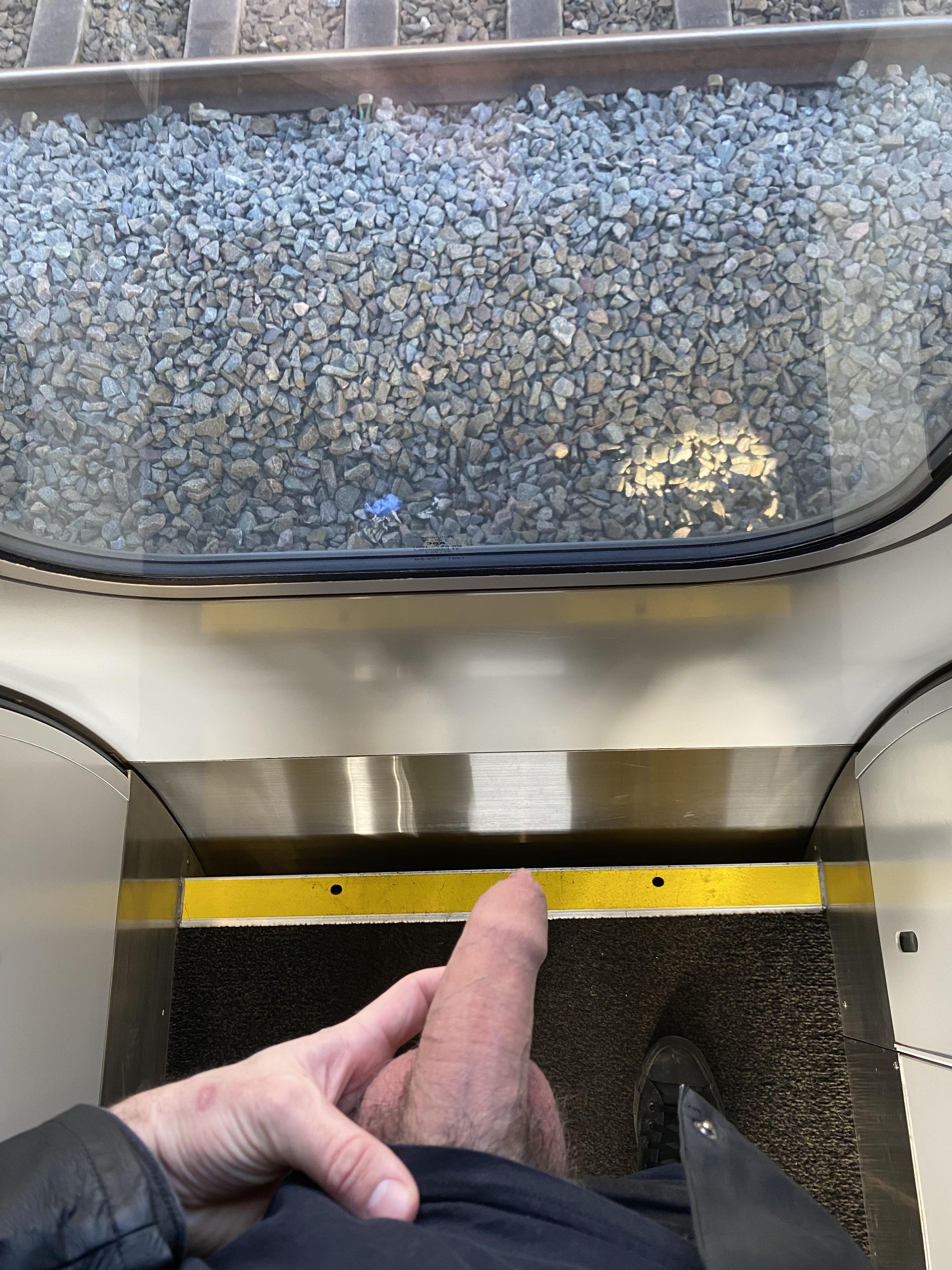 36 uk dick out on a train (8’’) : PublicBoys