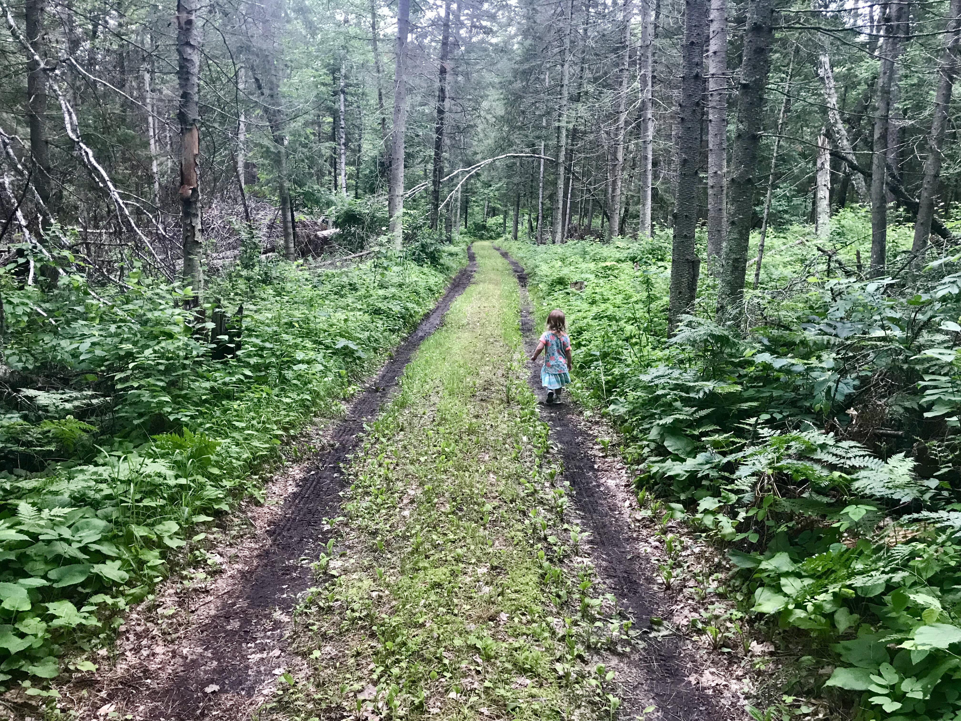 Taking a stroll around Fifty Lakes, MN. Beautiful weather up North! r