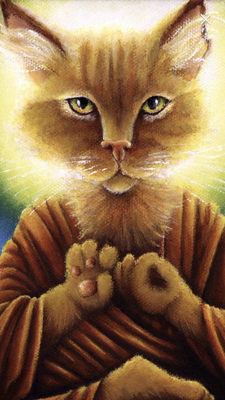 My cat Buddho was named by a practicing Buddhist... my ex, who used to