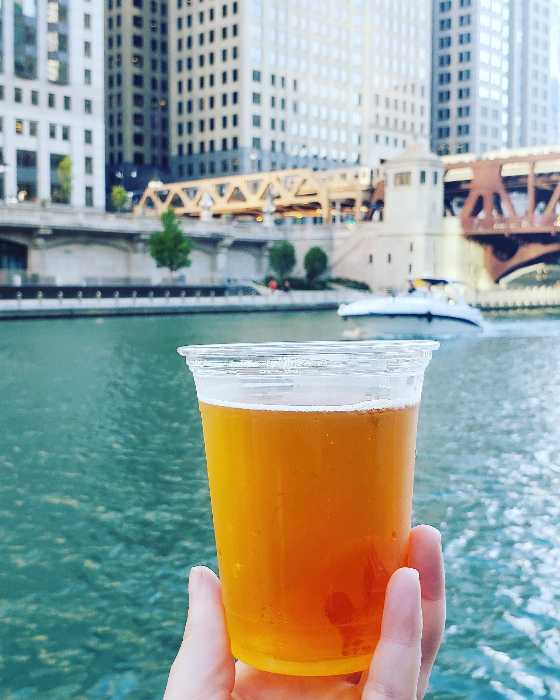 Sketchbook Orange Door IPA + Chicago r/beerwithaview