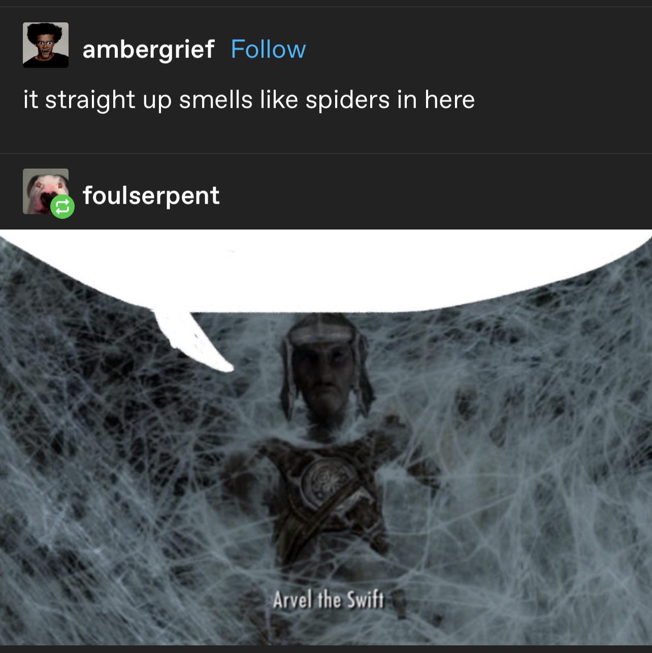 I hope frostbite spiders smell like mint r/SkyrimMemes