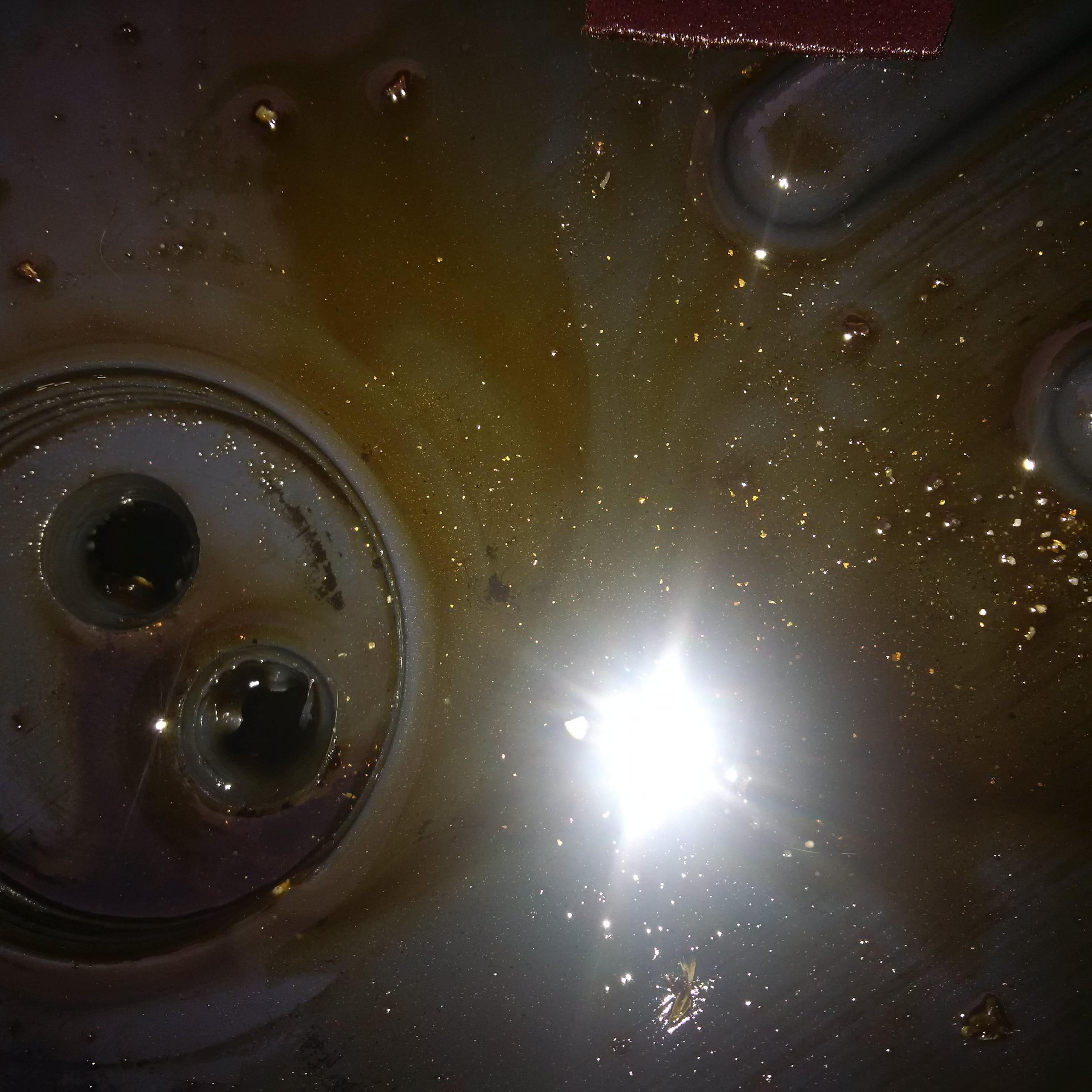 Gold in color flakes/glitter in oil after changing. Friend says its
