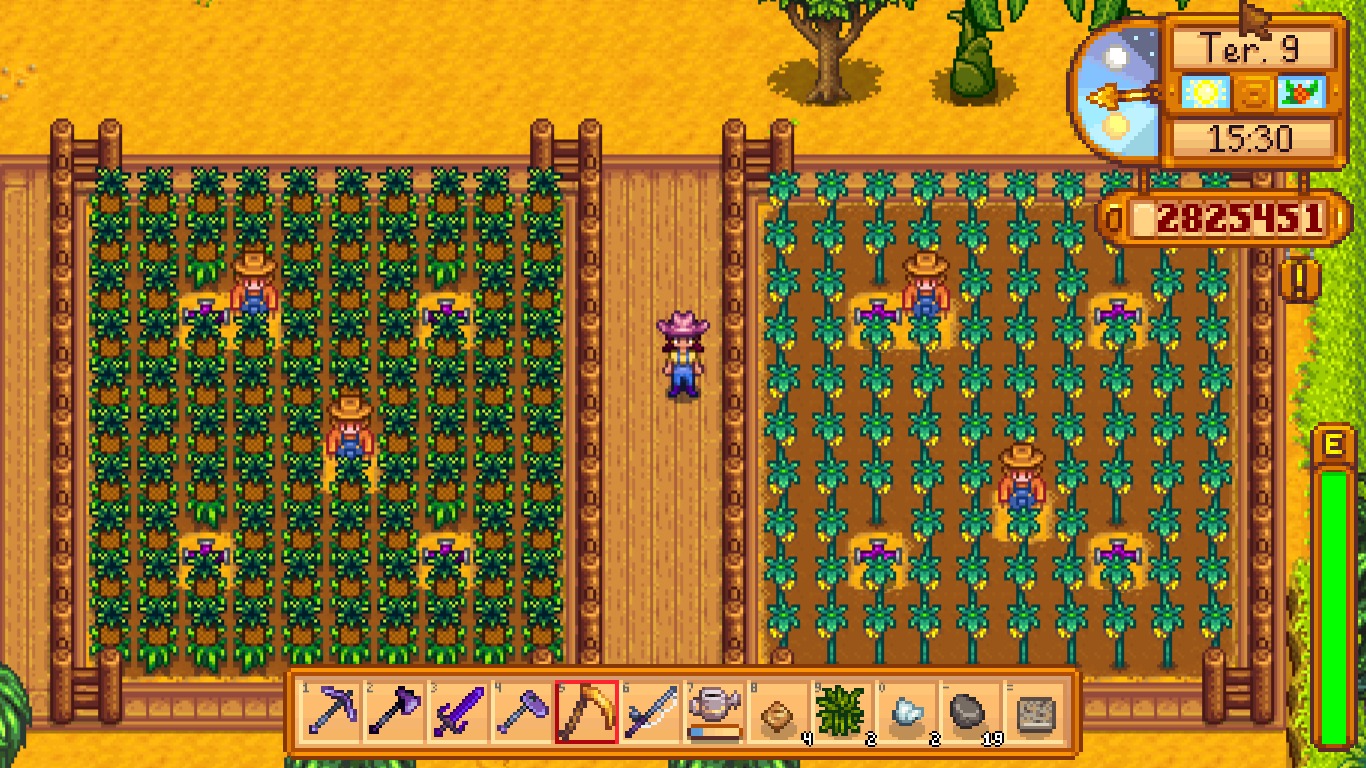 My pineapple and starfruit plantation on Ginger Island, low maintenance