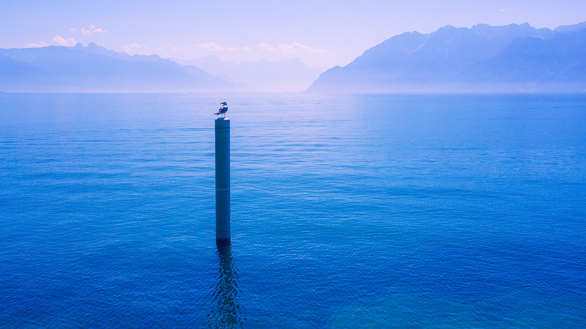 Lake Geneva from the shores of Lutry, Switzerland r/Travel_HD
